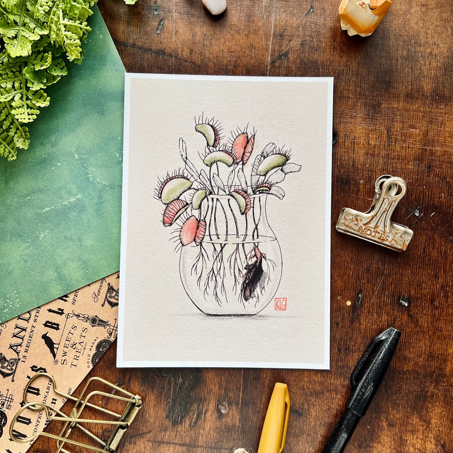Venus Fly Trap Art Print
