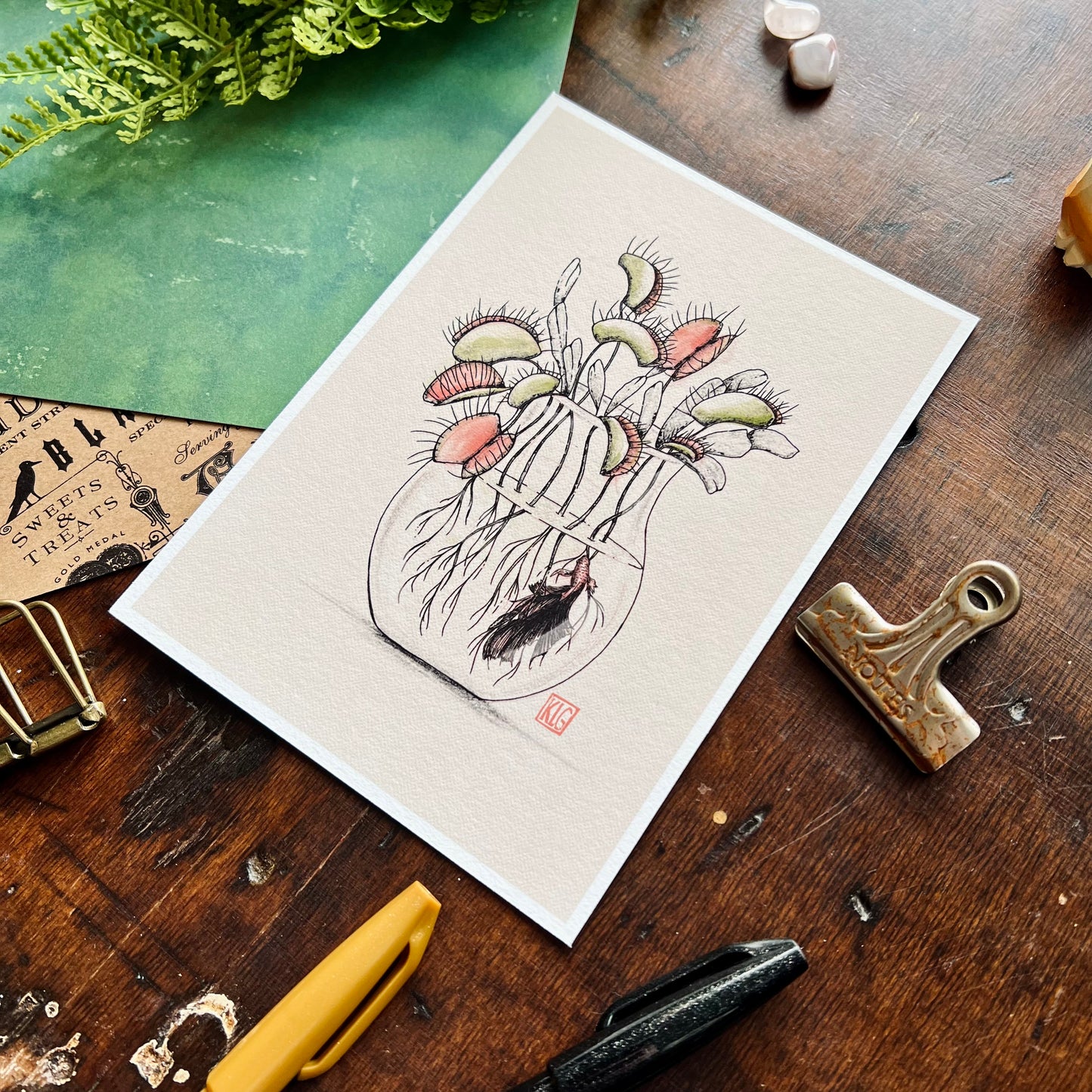 Venus Fly Trap Art Print