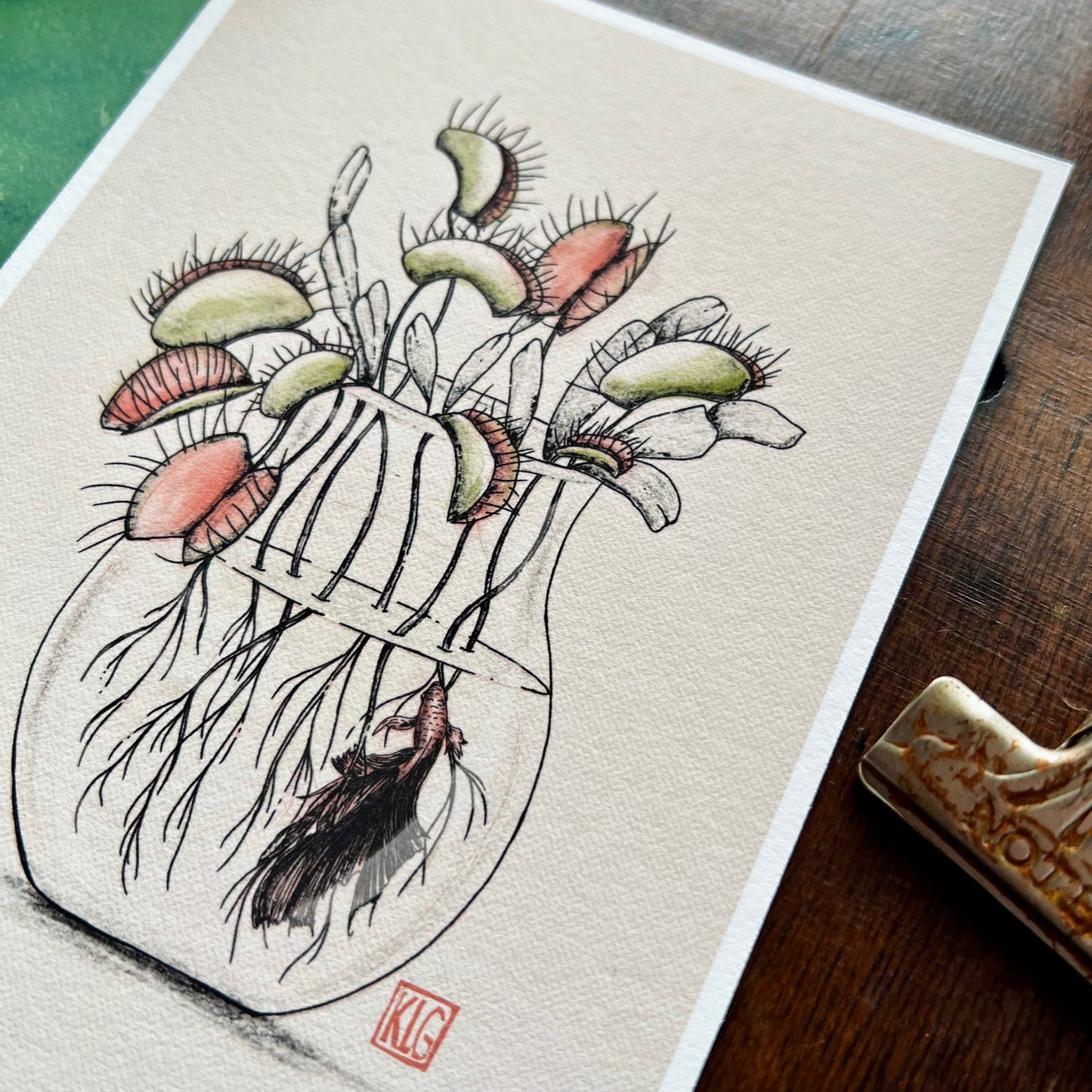 Venus Fly Trap Art Print