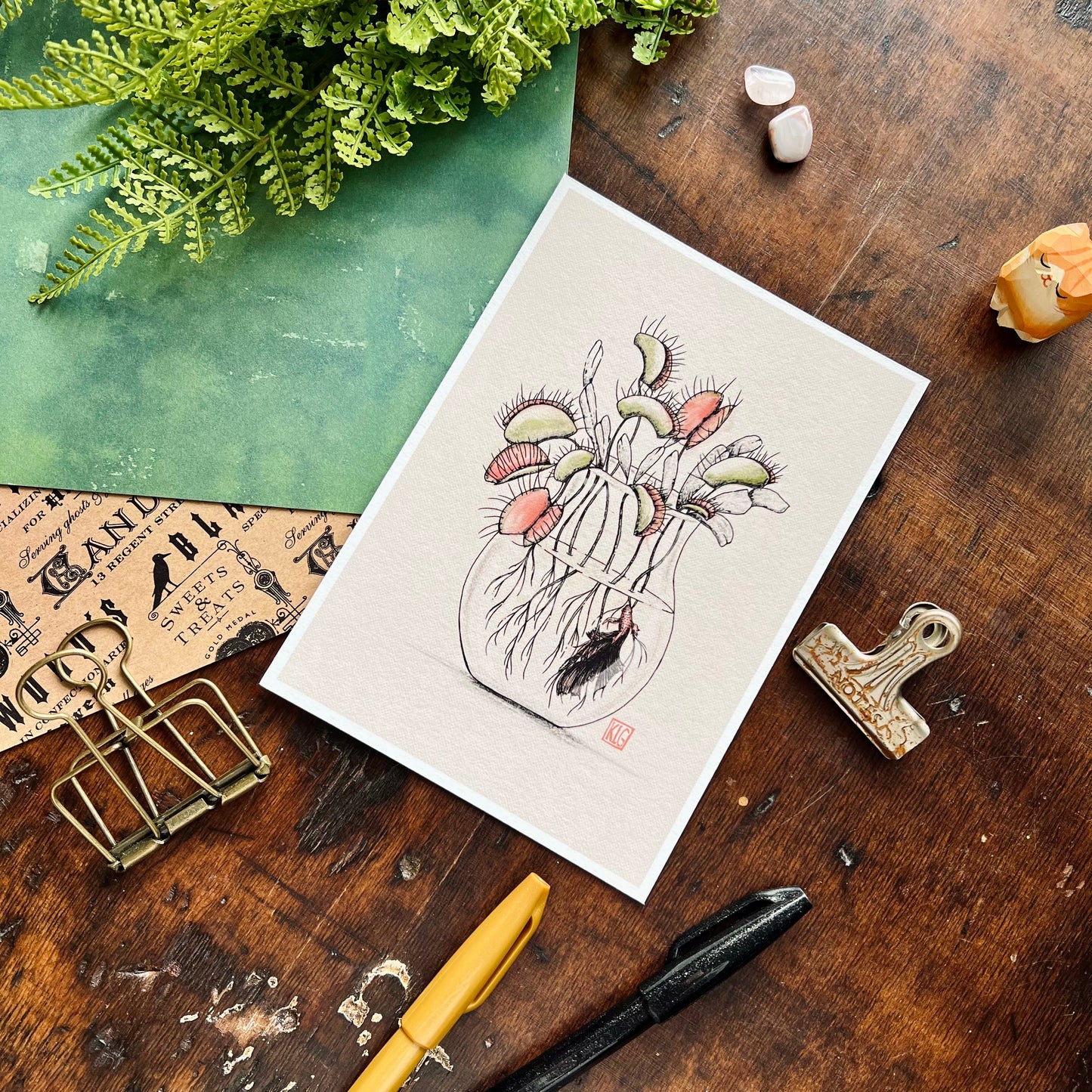 Venus Fly Trap Art Print