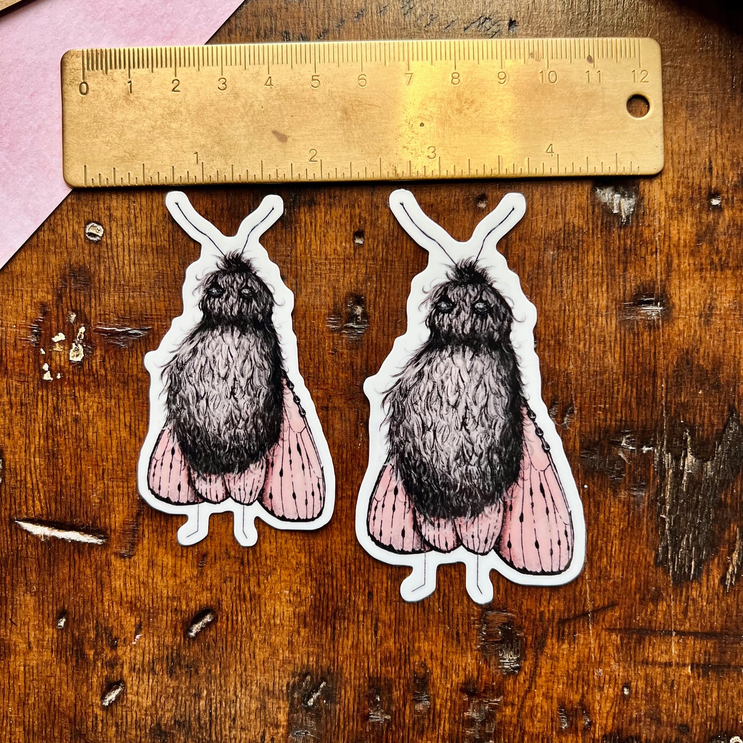 Goth Moth Vinyl Sticker