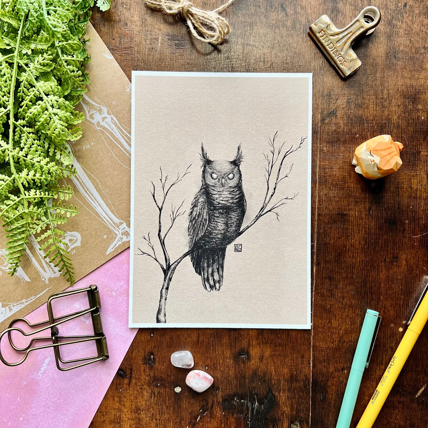 Ominous Owl Art Print