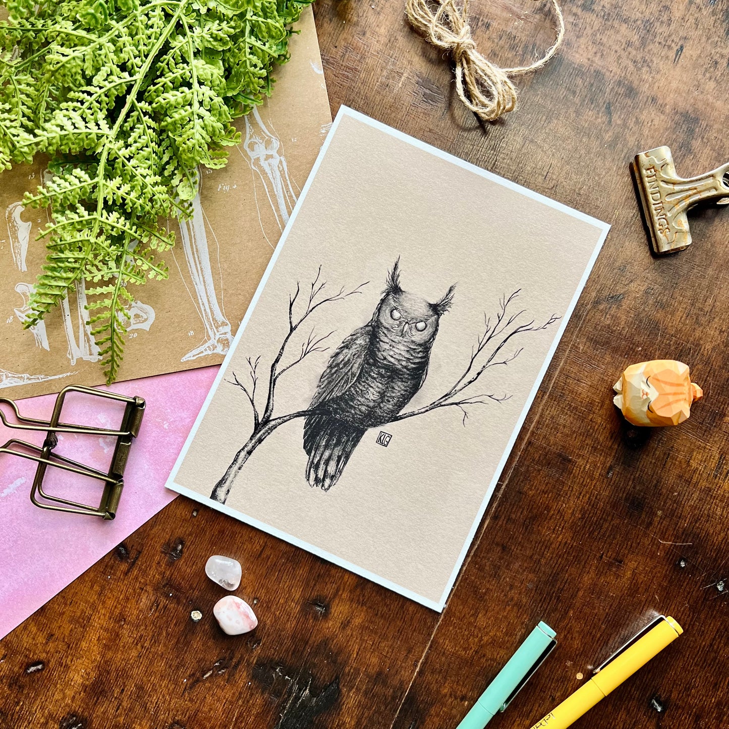 Ominous Owl Art Print