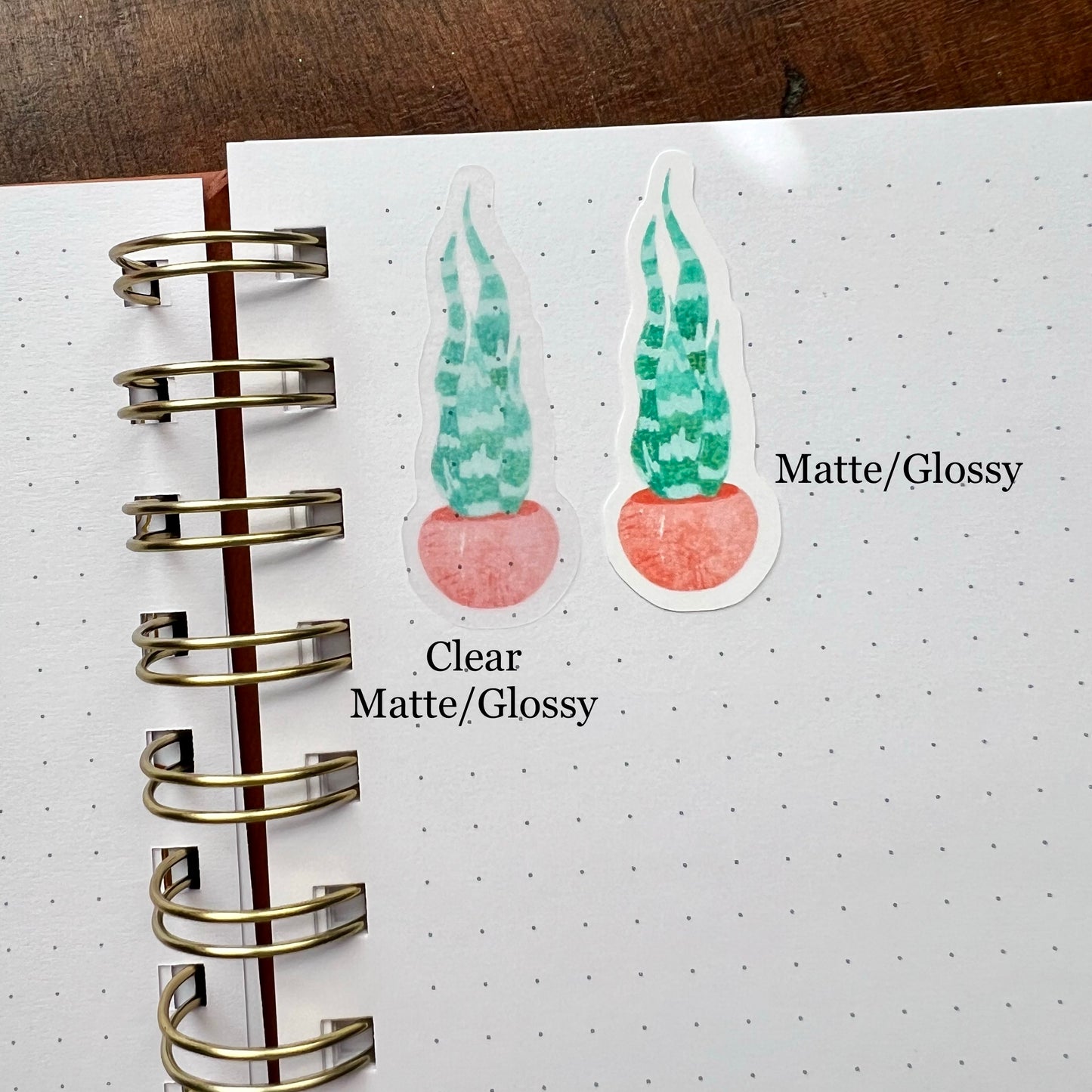 Houseplant Sticker Sheet