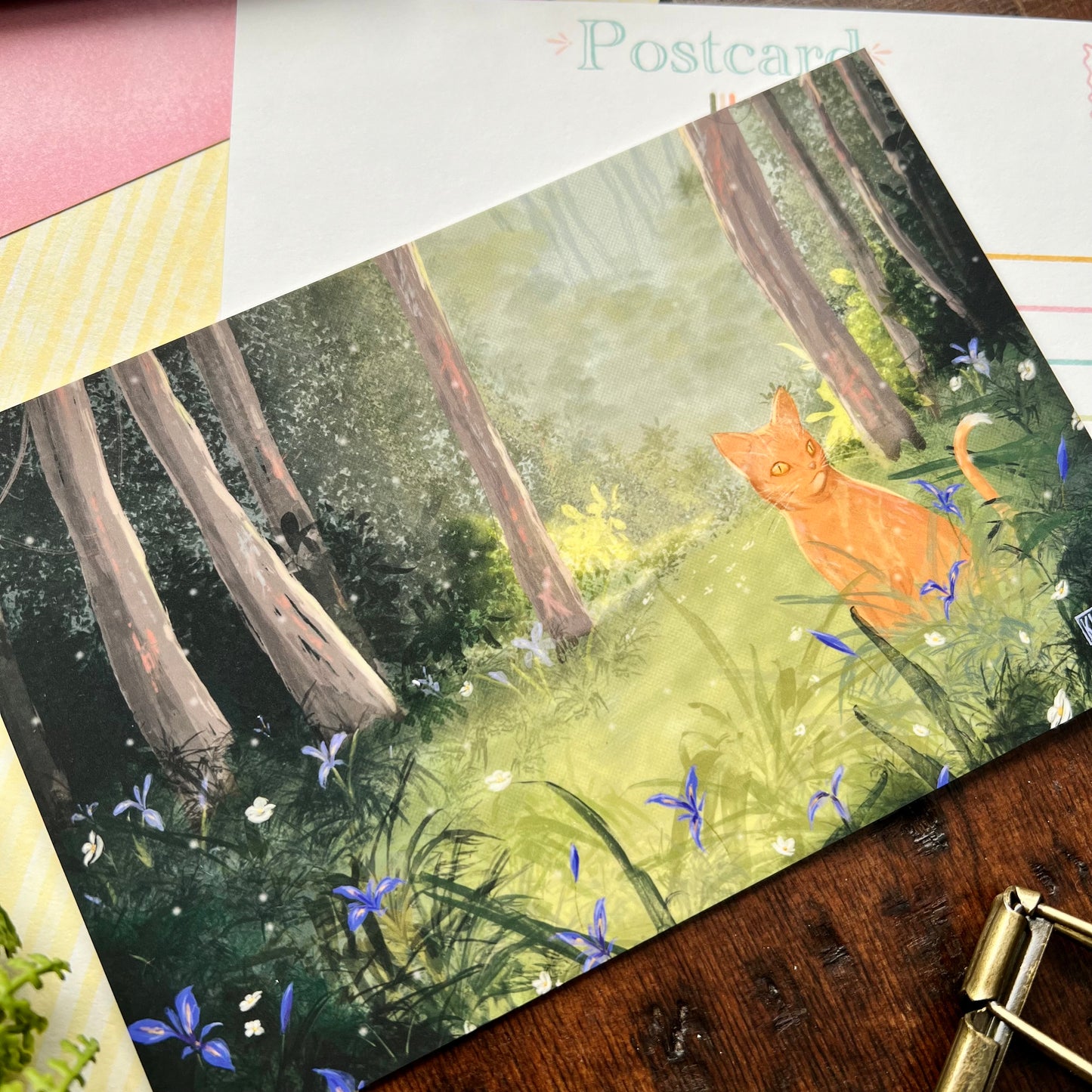 King of The Irises Postcard
