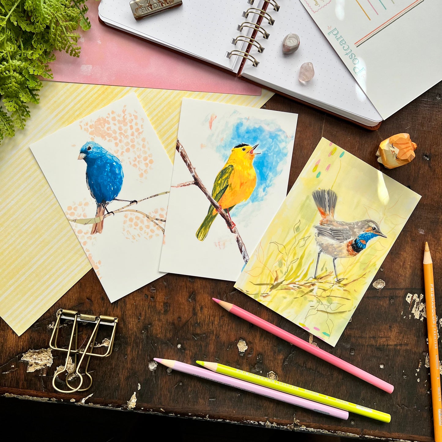 Bird Postcard Set 1