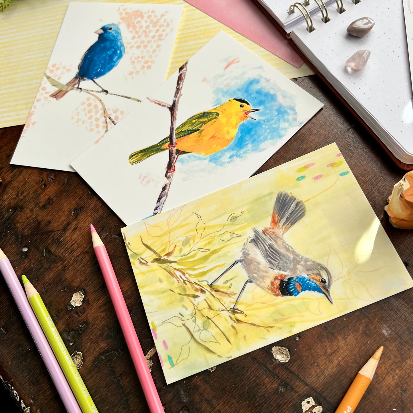 Bird Postcard Set 1