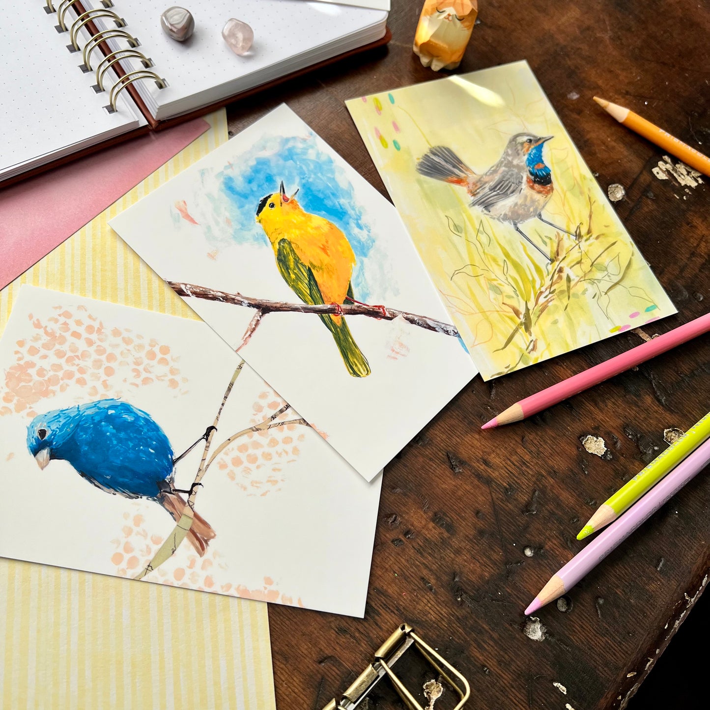 Bird Postcard Set 1