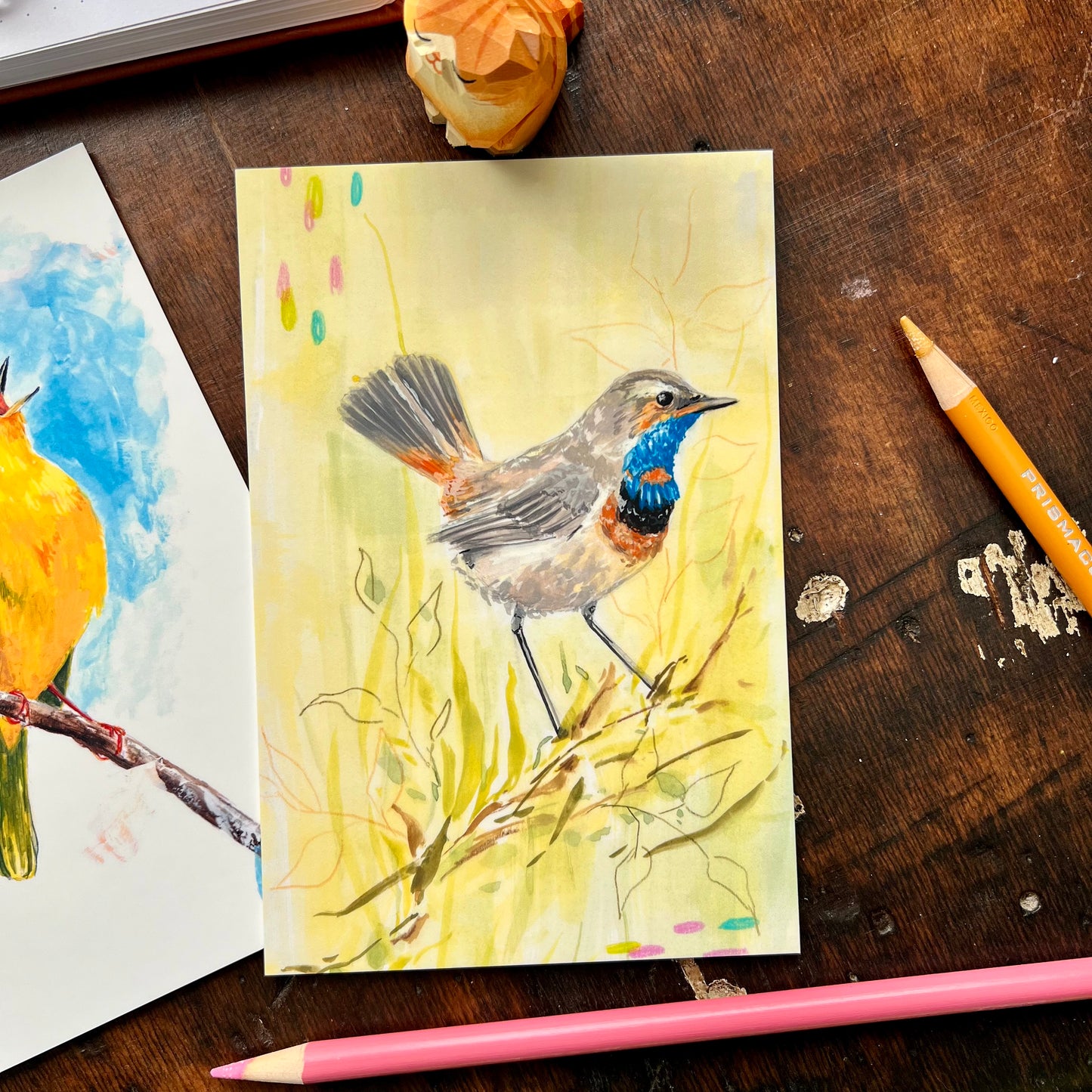 Bird Postcard Set 1