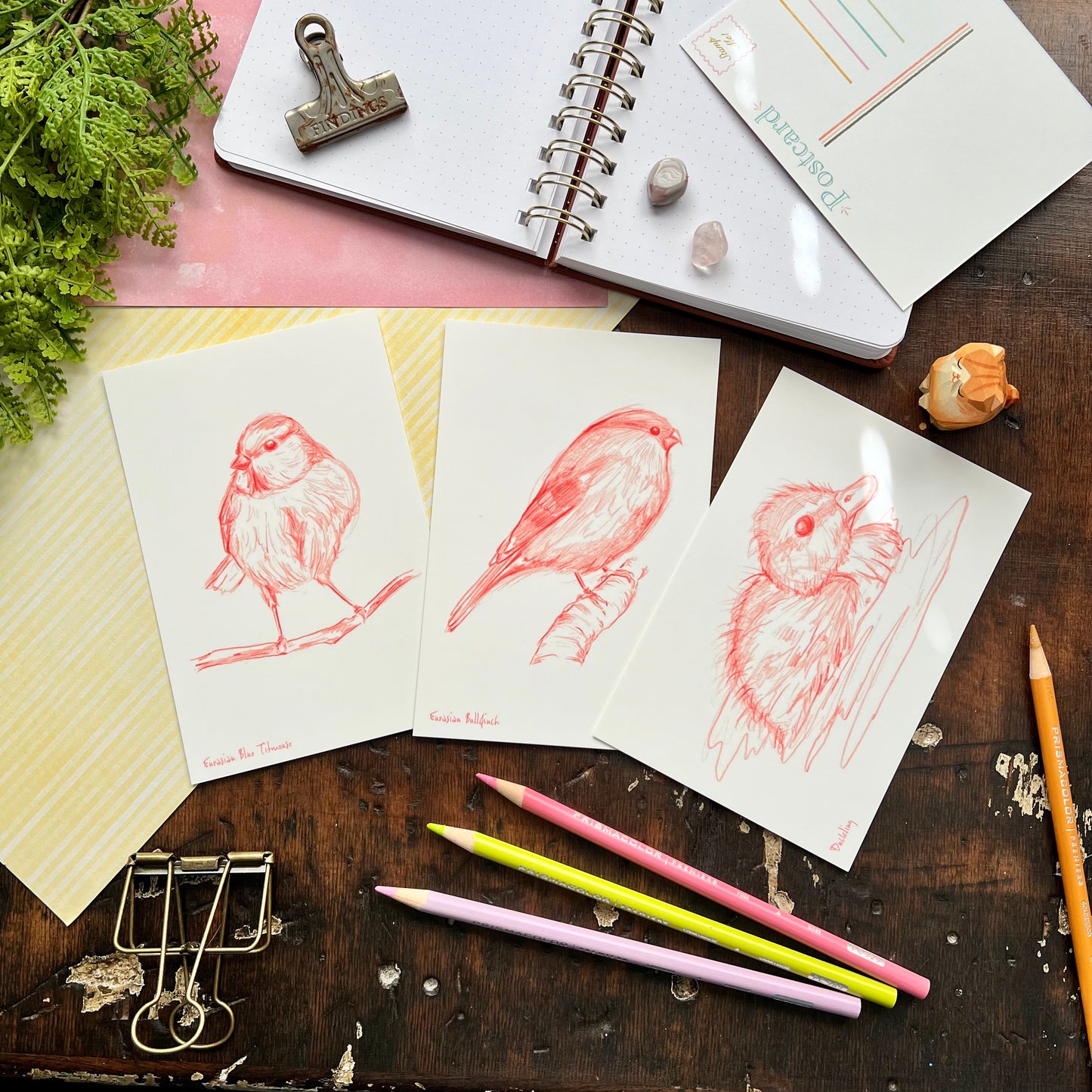 Sketchy Bird Postcard Set 2