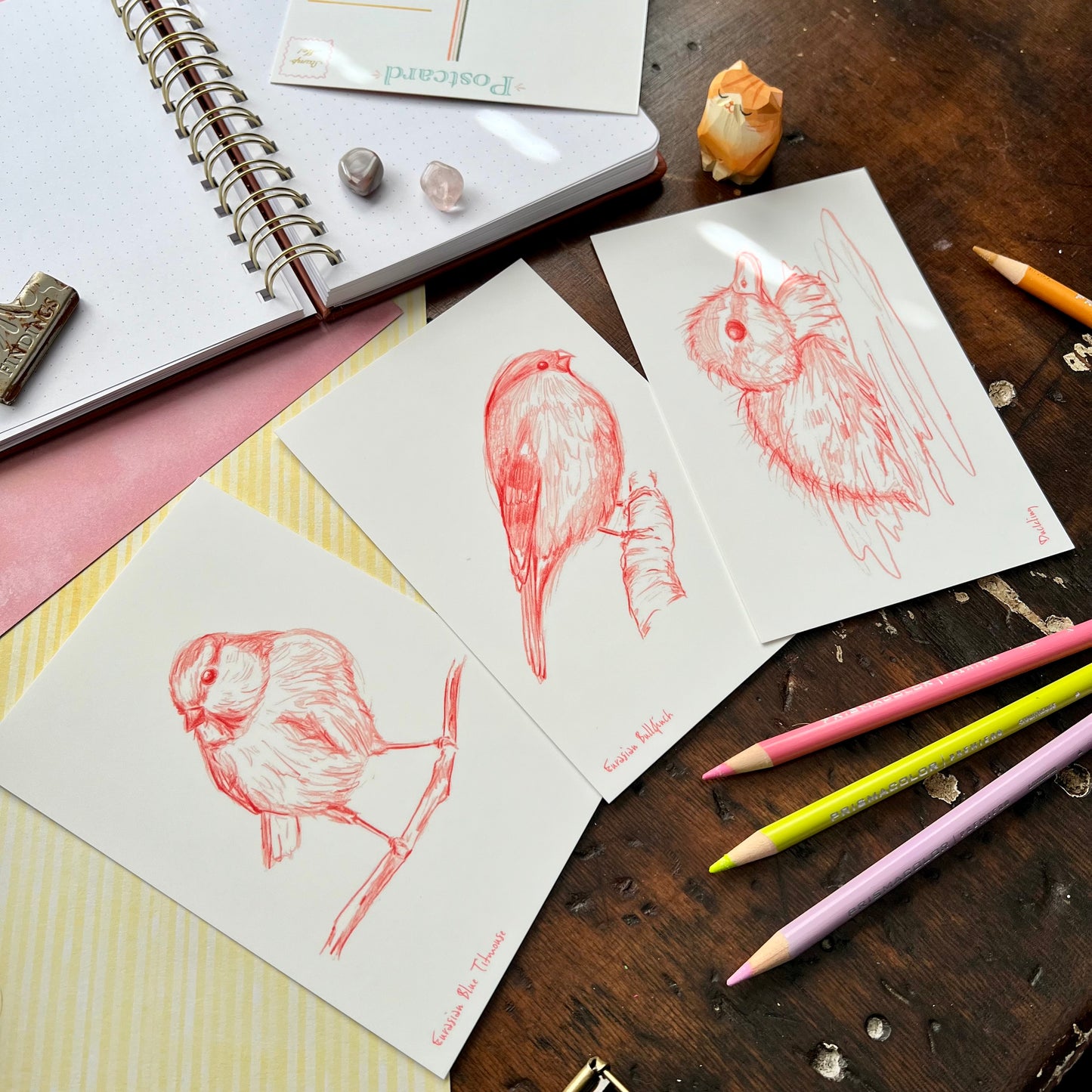Sketchy Bird Postcard Set 2