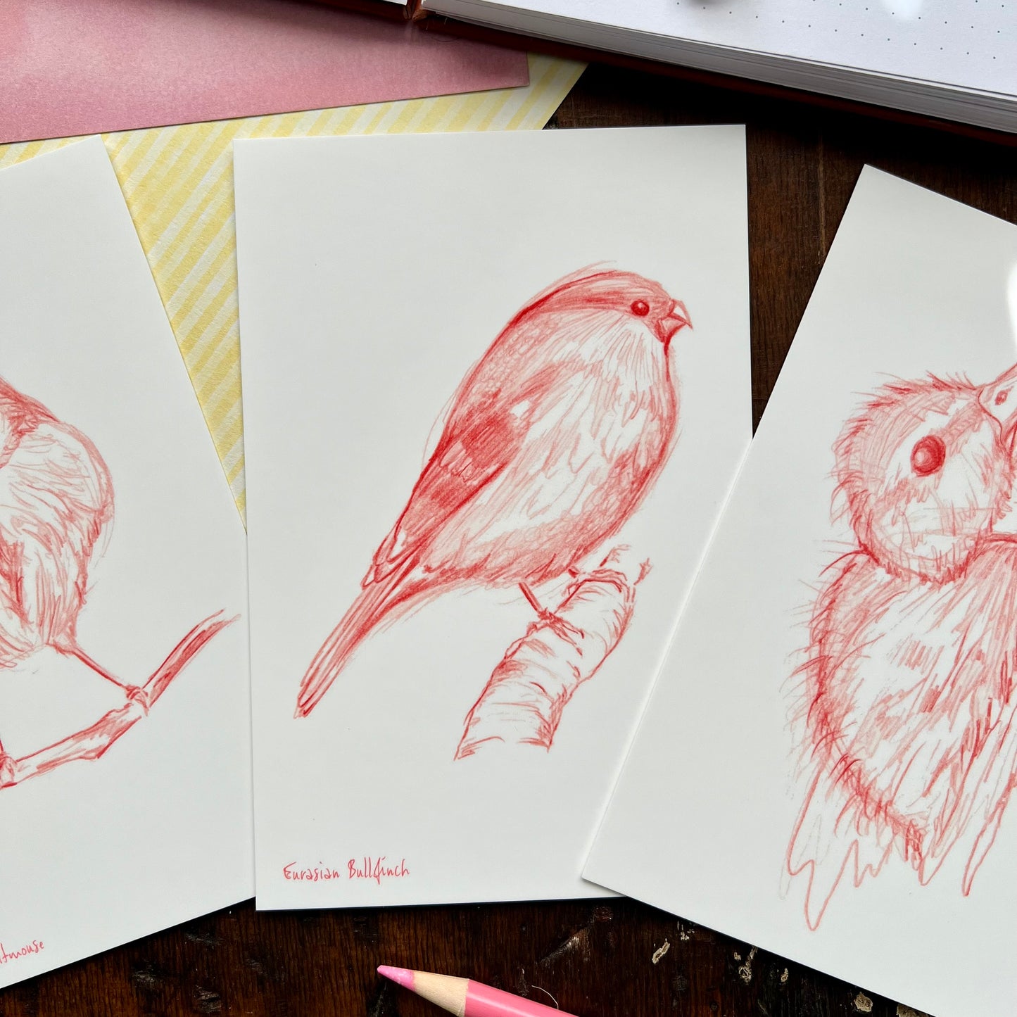 Sketchy Bird Postcard Set 2