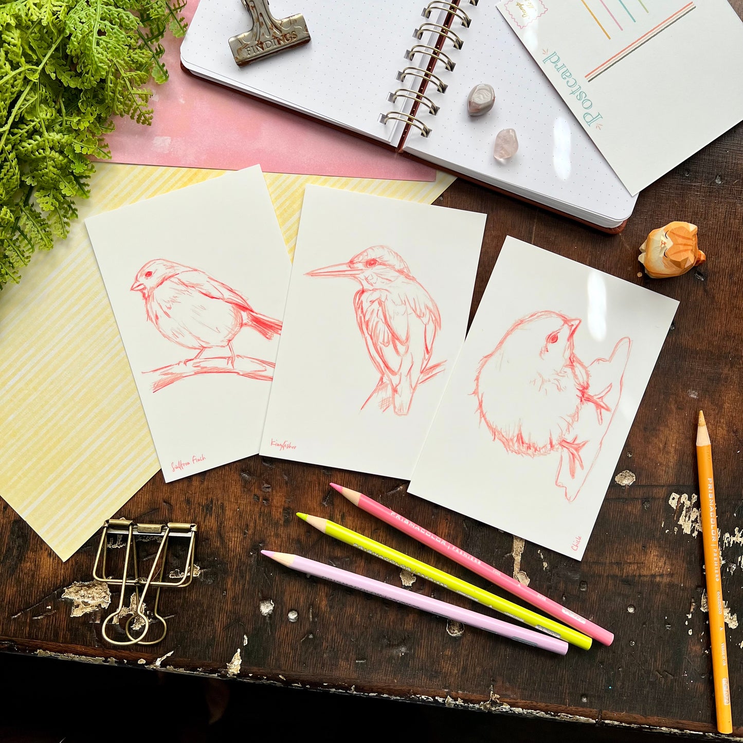 Sketchy Bird Postcard Set 1