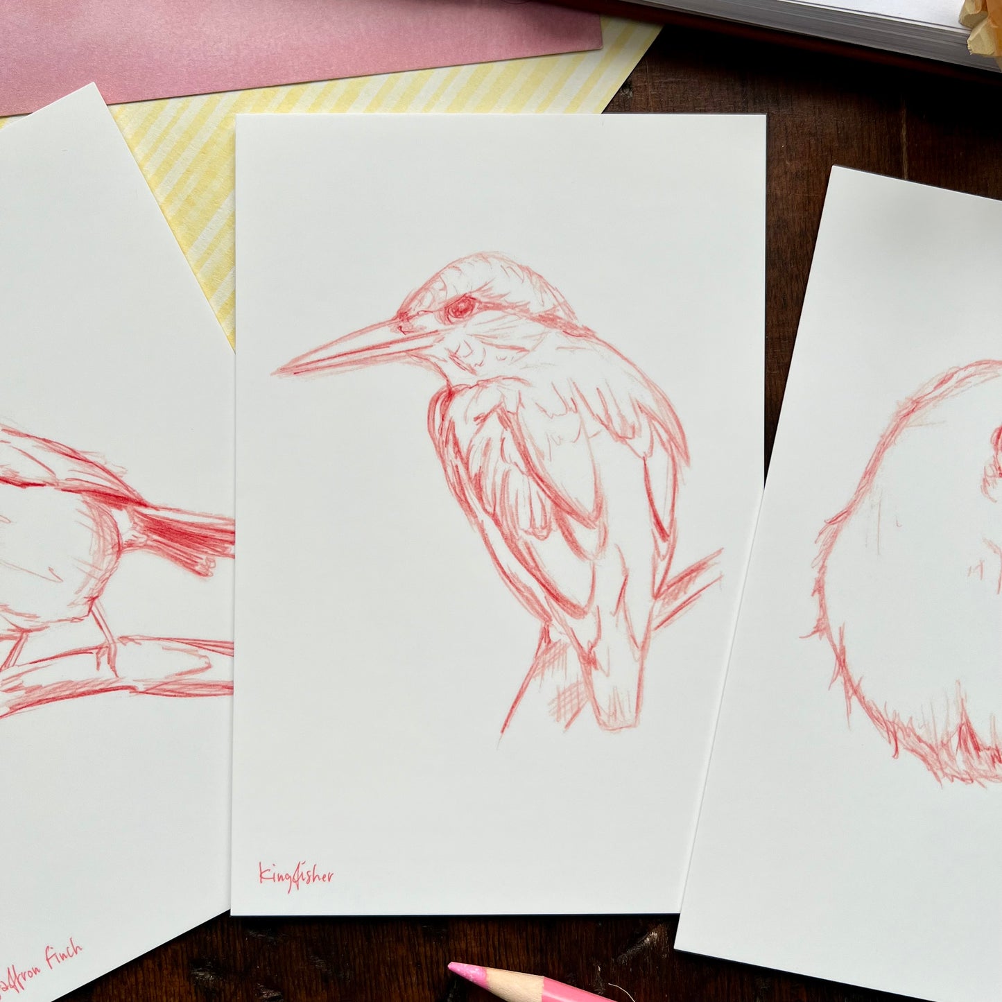 Sketchy Bird Postcard Set 1