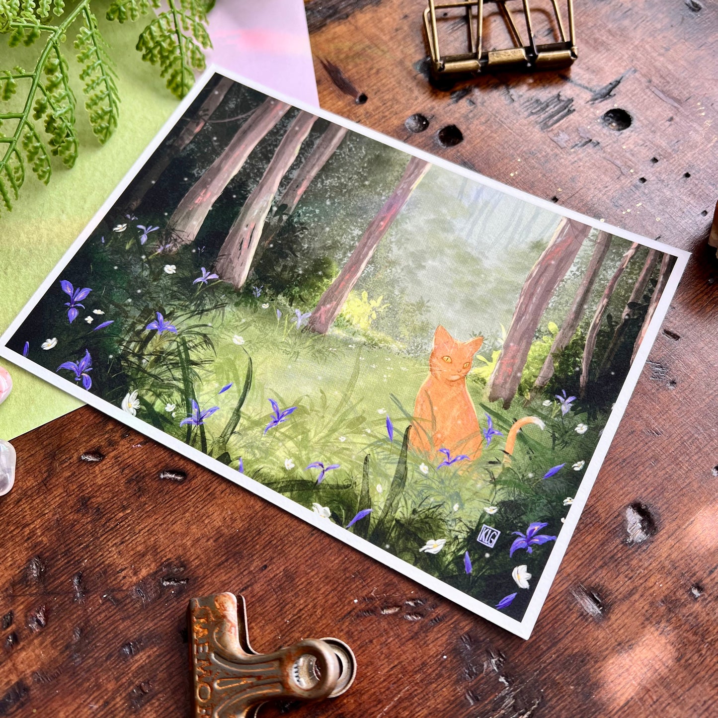 King of the Irises Print