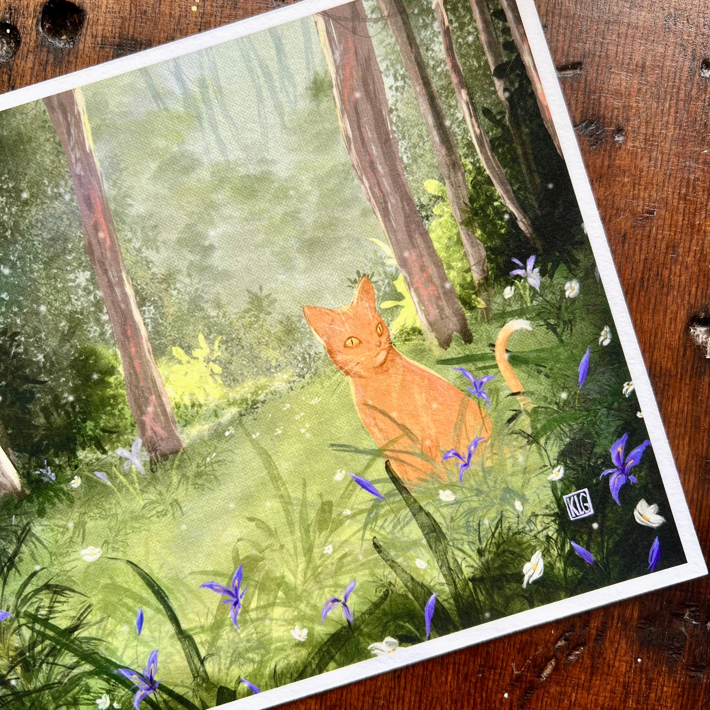 King of the Irises Print