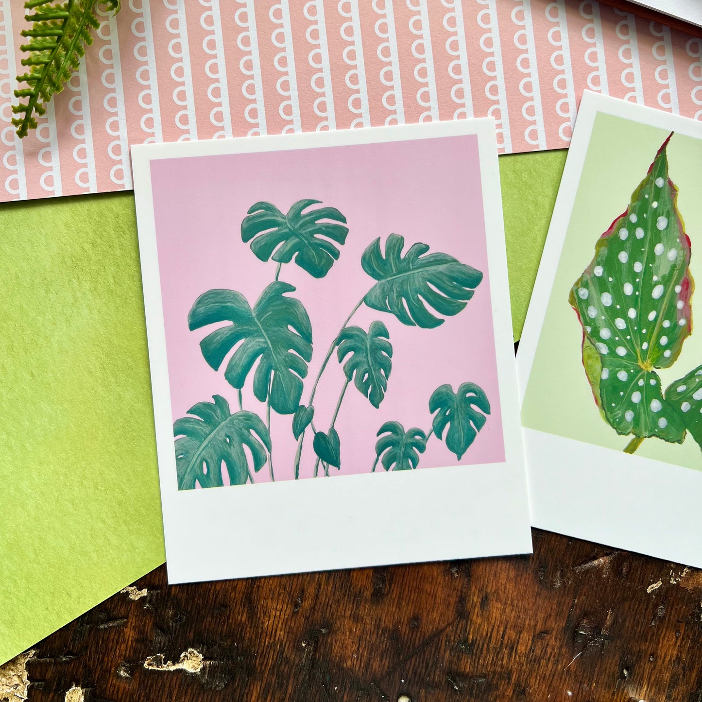 Houseplant Polaroid Style Postcard Set