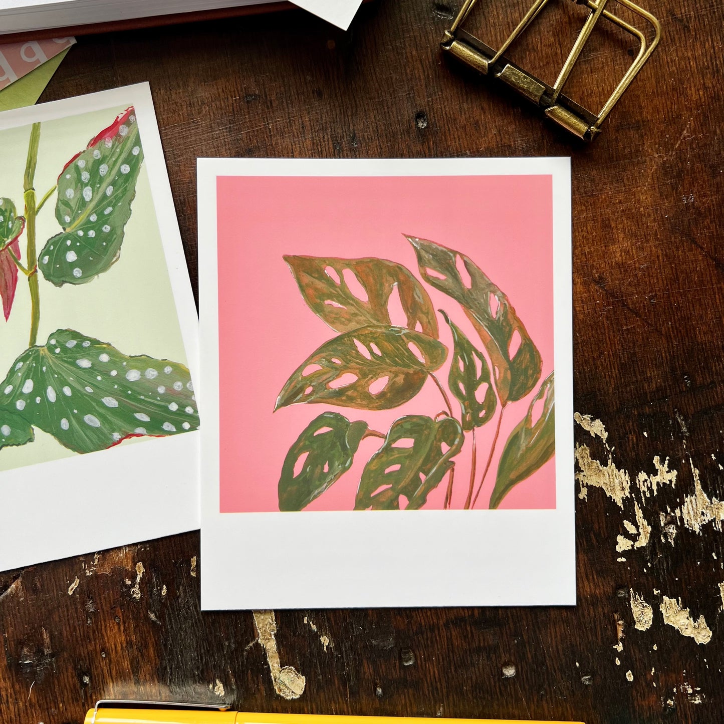 Houseplant Polaroid Style Postcard Set