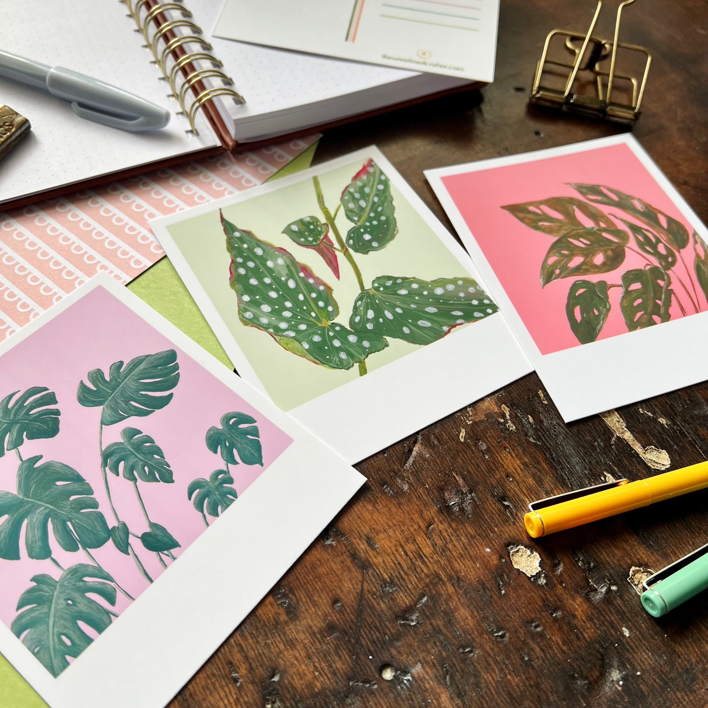 Houseplant Polaroid Style Postcard Set