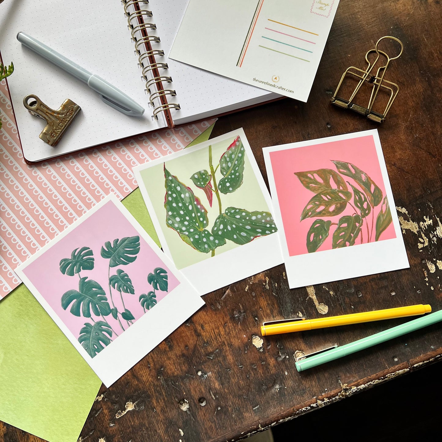 Houseplant Polaroid Style Postcard Set