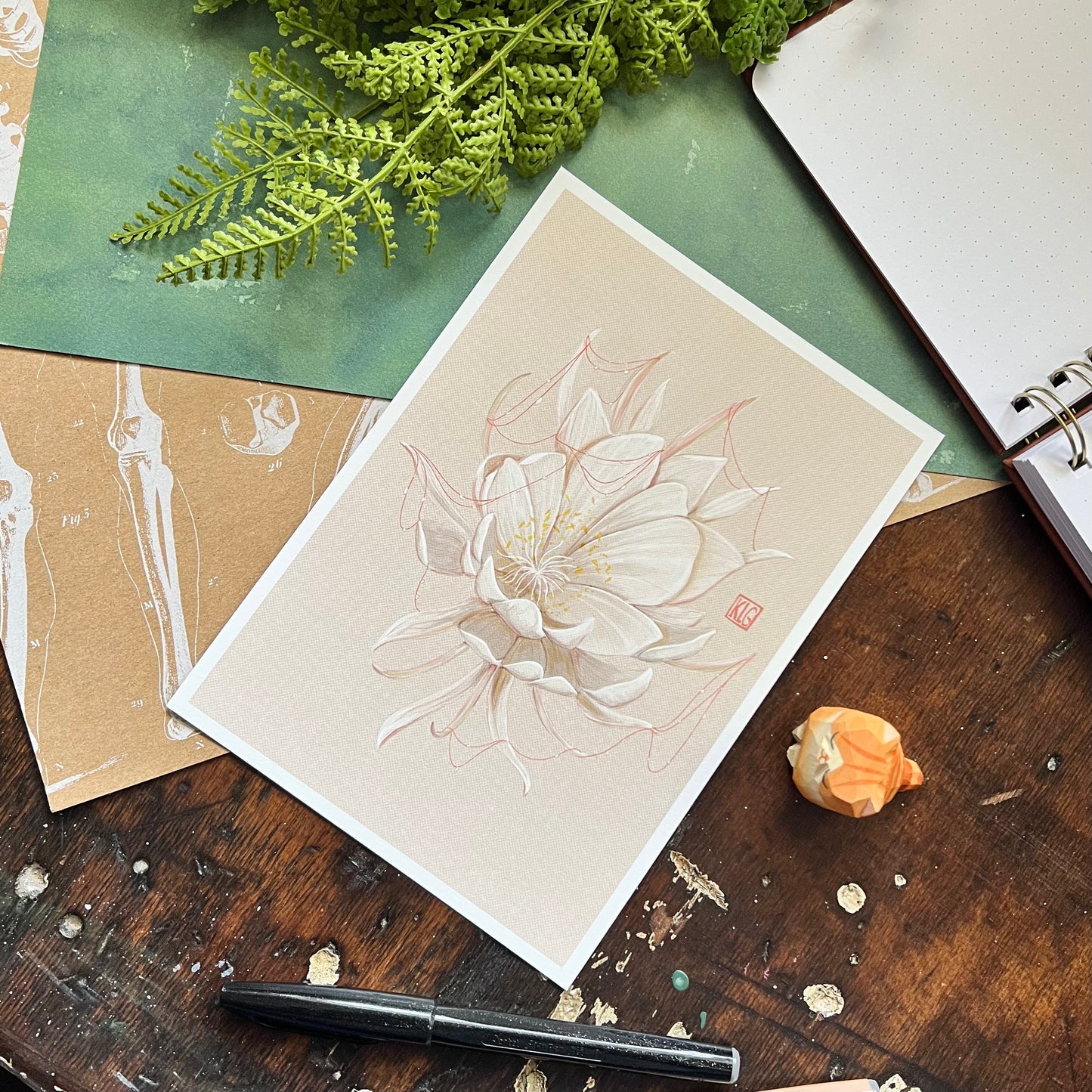 Queen Of The Night Art Print