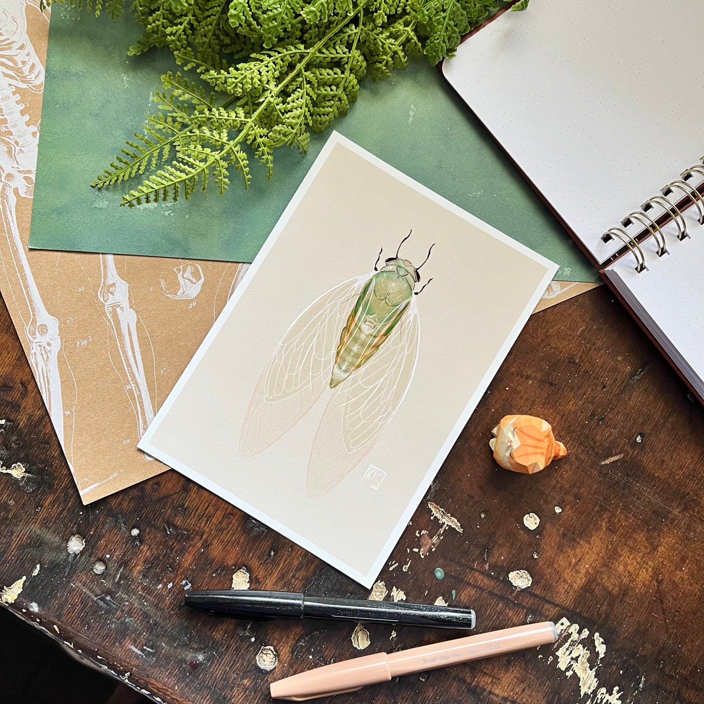 Cicada Art Print