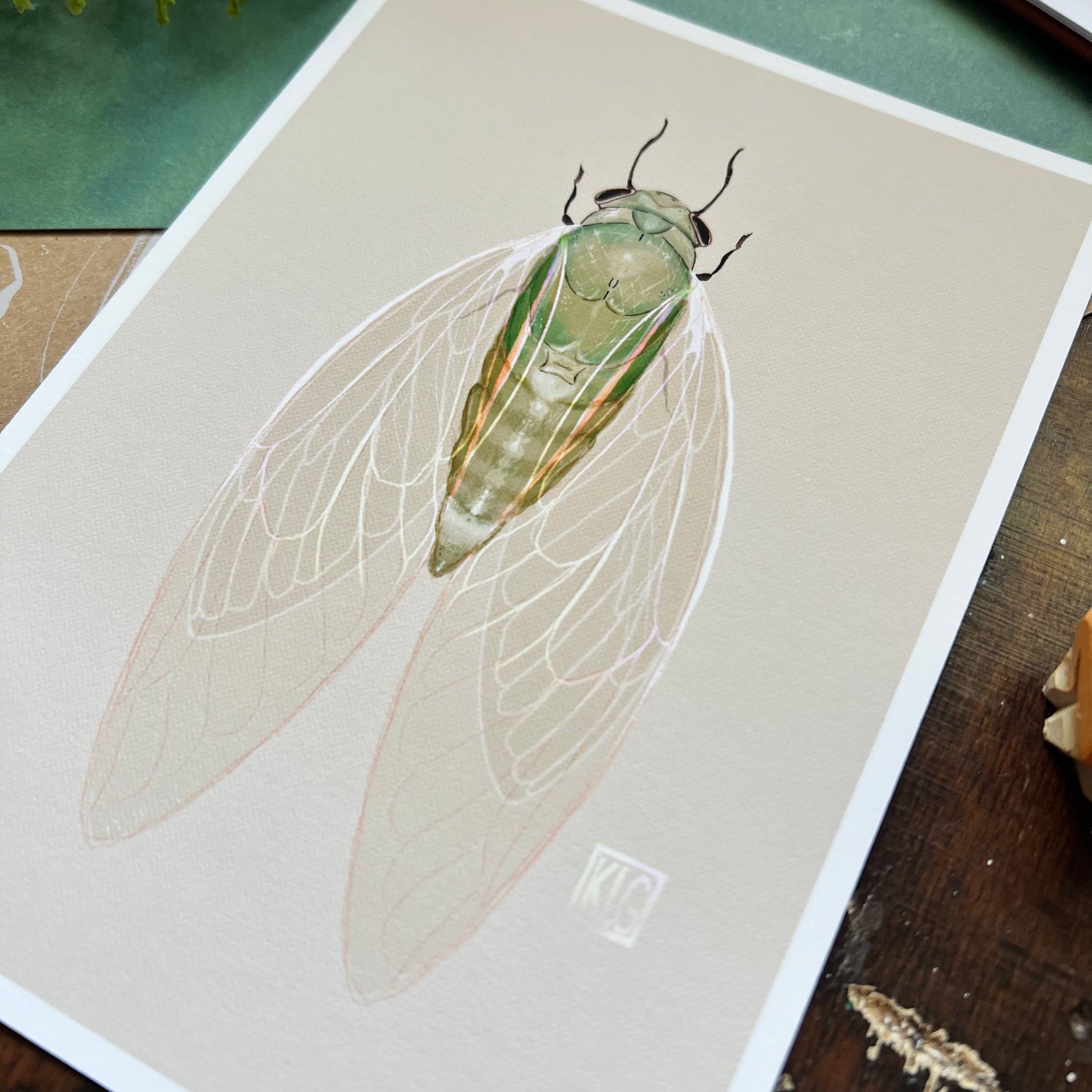 Cicada Art Print