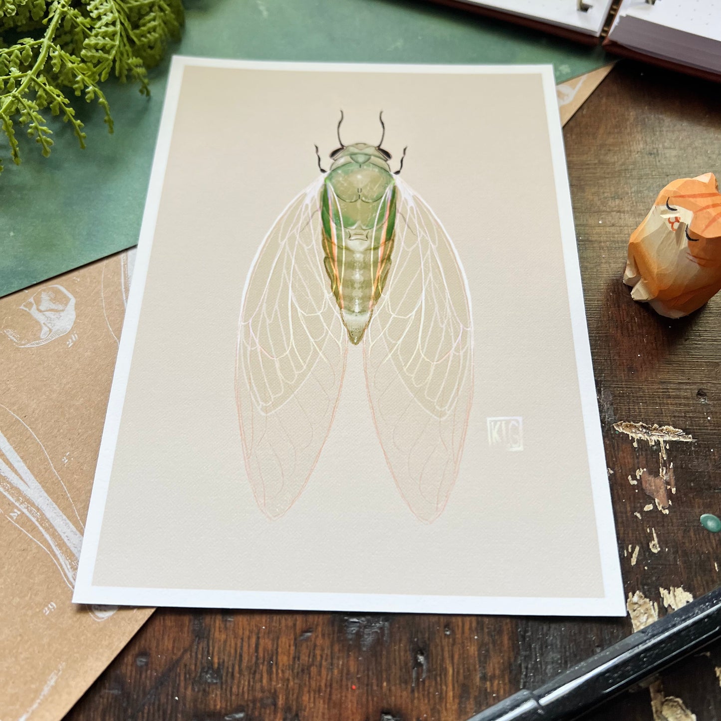Cicada Art Print