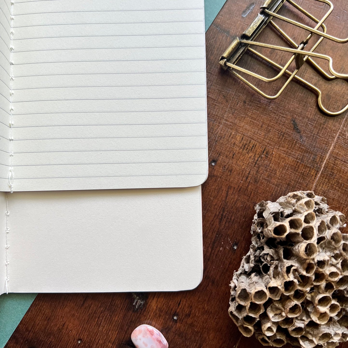 Pixie Cap Mushrooms Handprinted Notebook