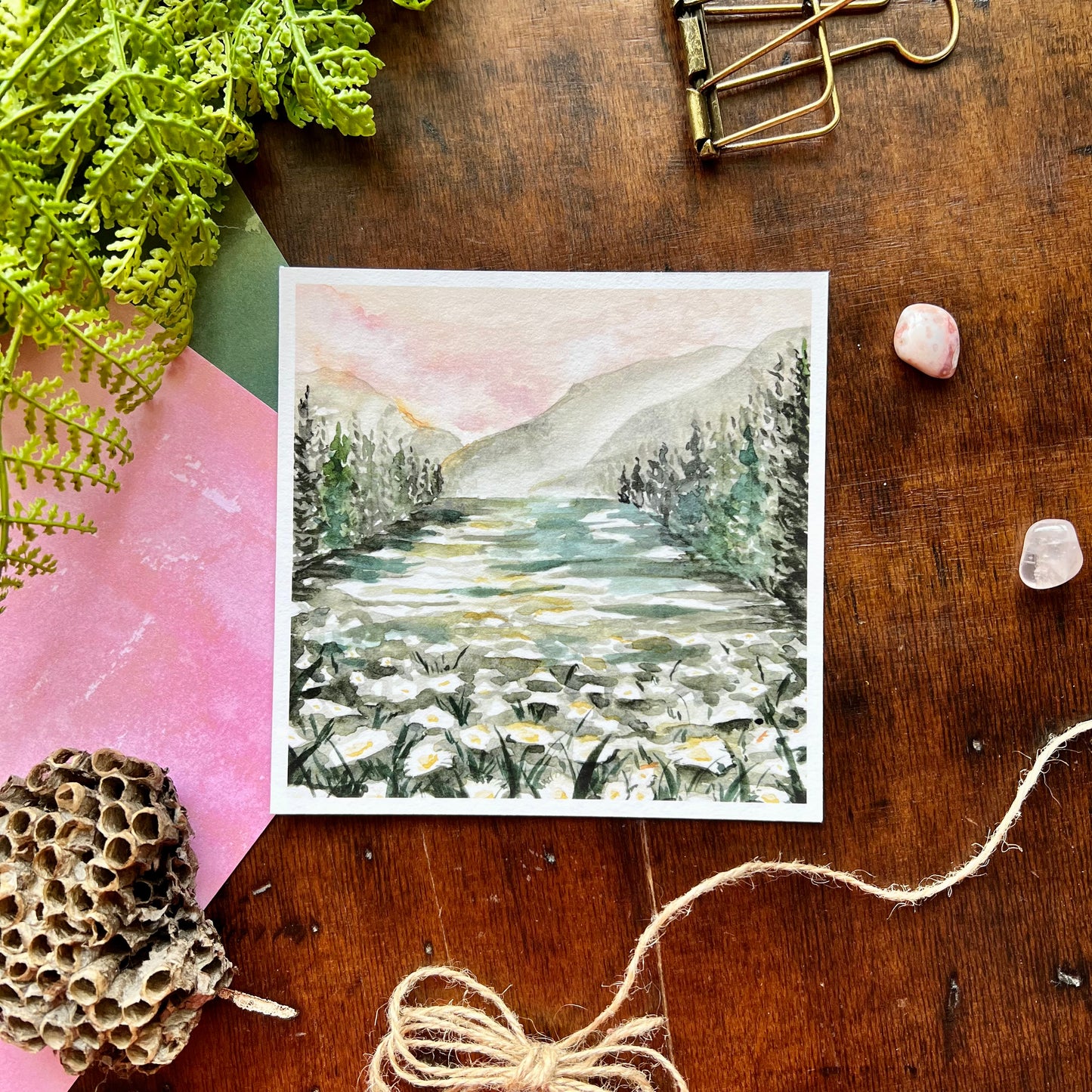 Daisy Field Art Print