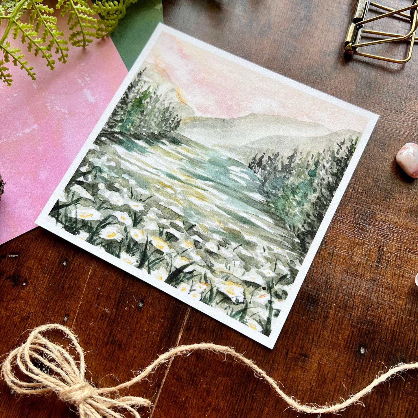 Daisy Field Art Print