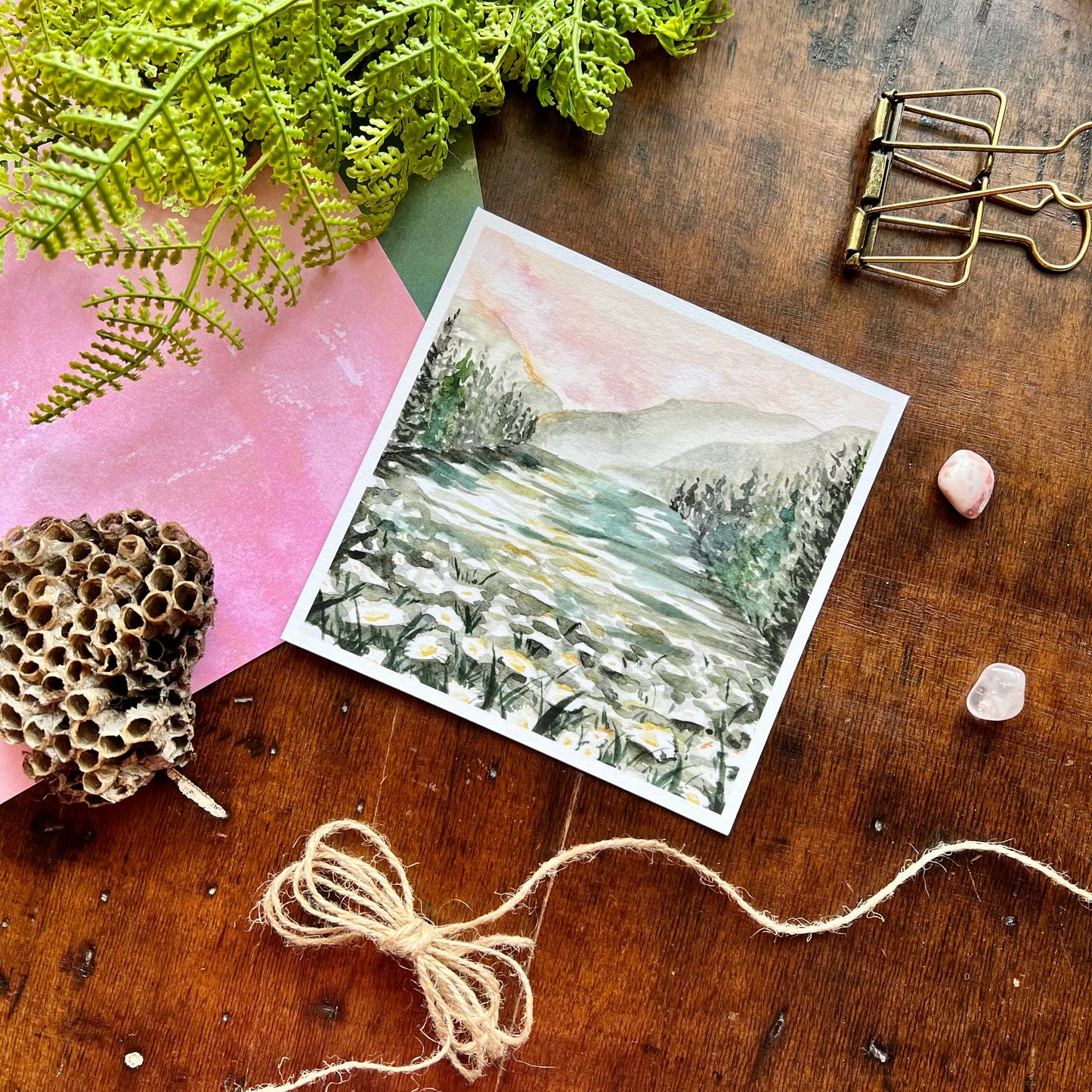Daisy Field Art Print