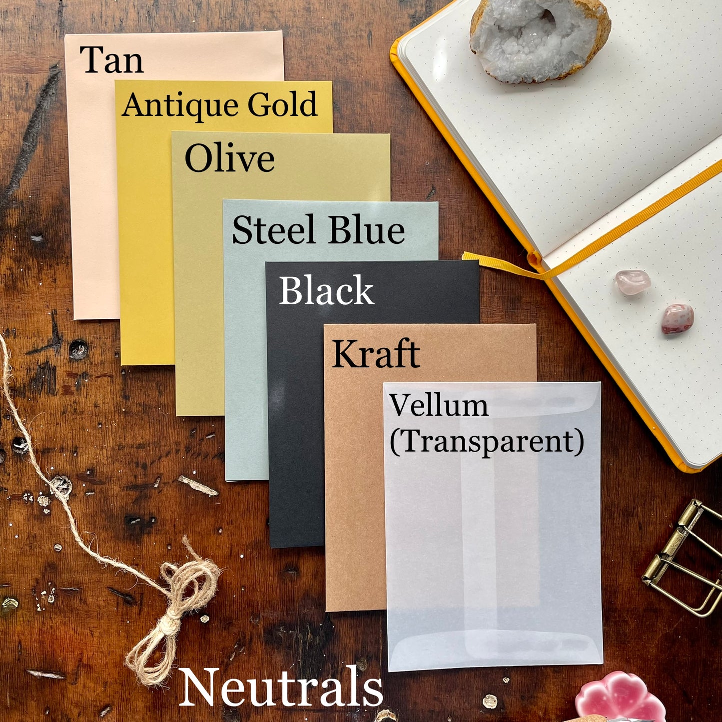 Mushroom Pen & Ink Card Set