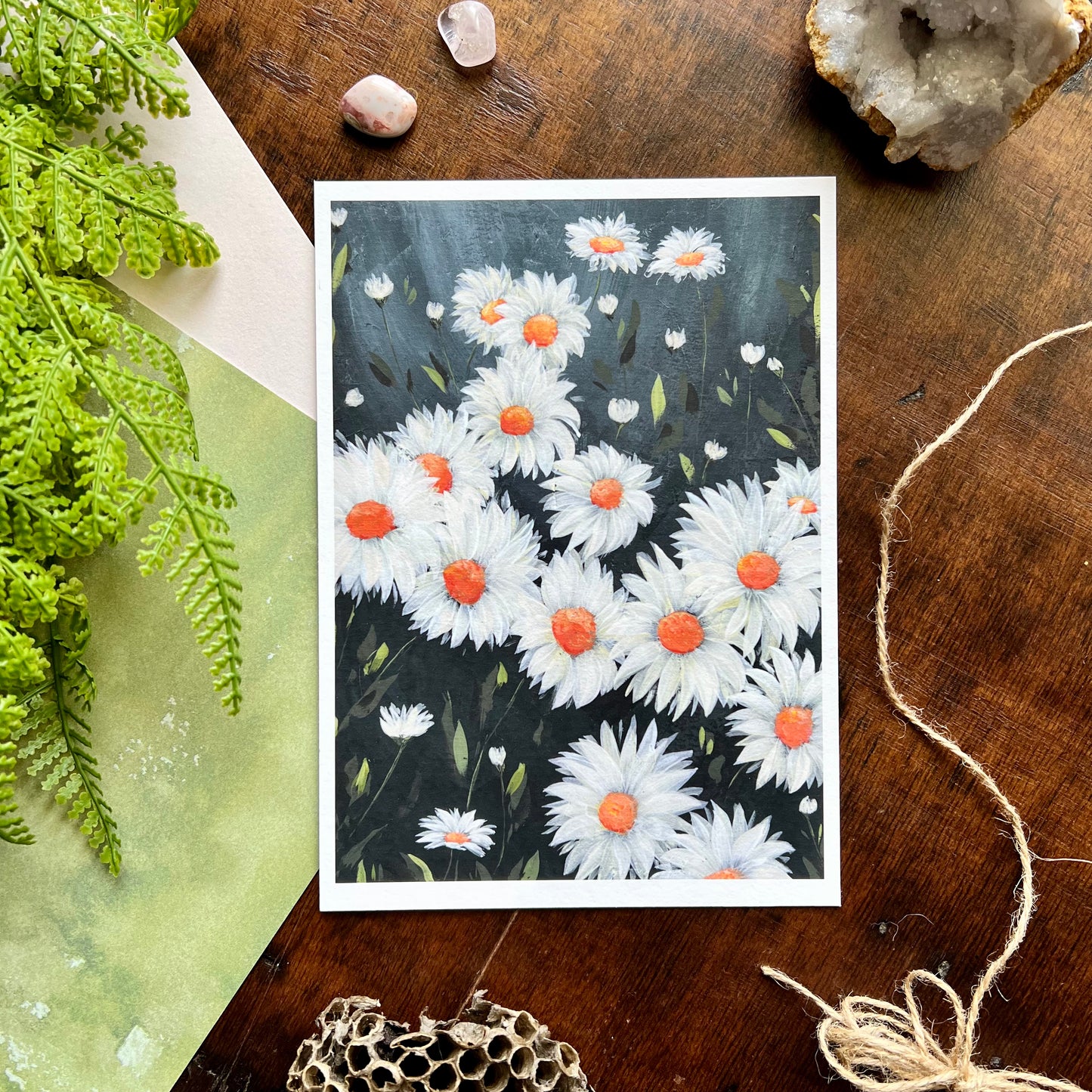 Daisies Art Print