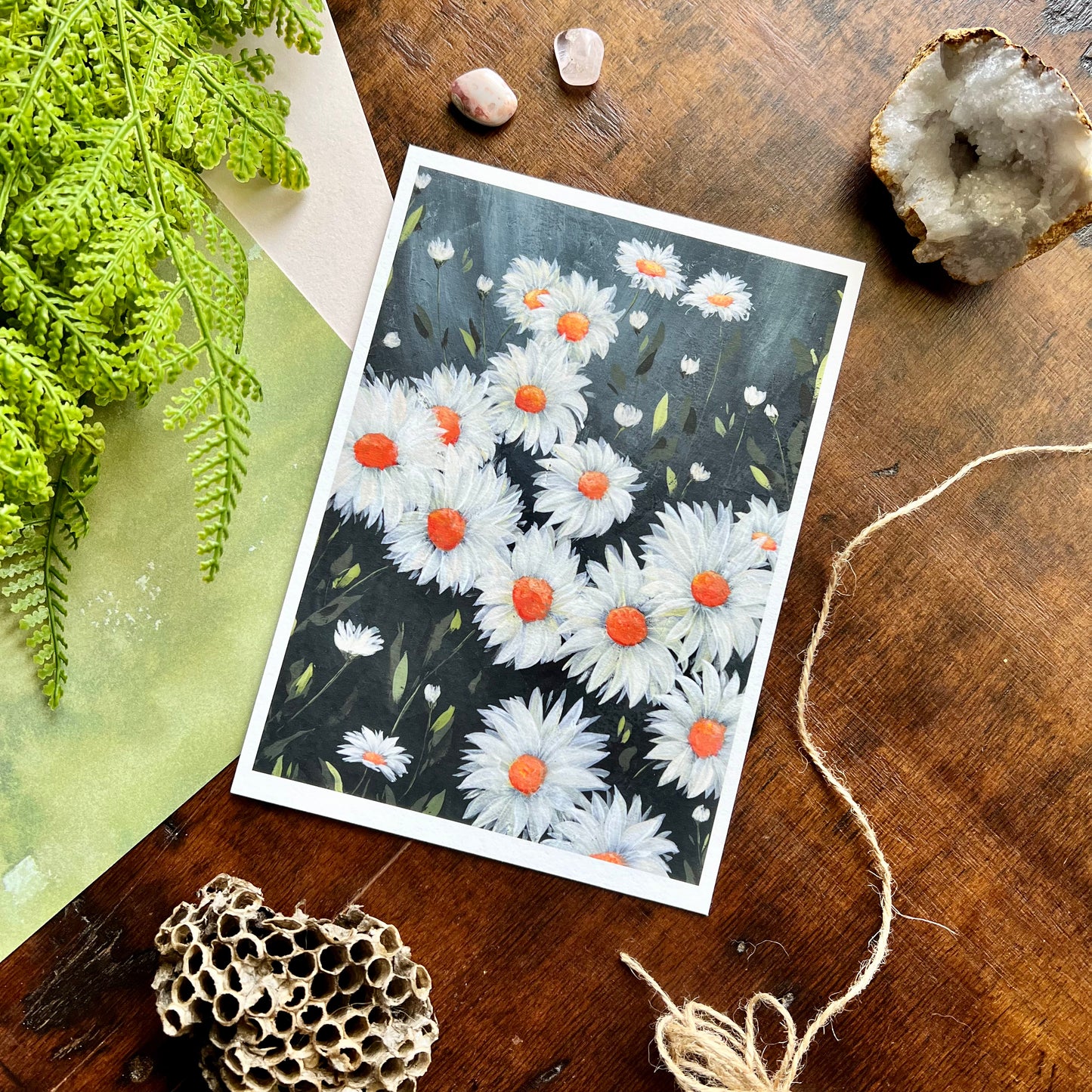 Daisies Art Print