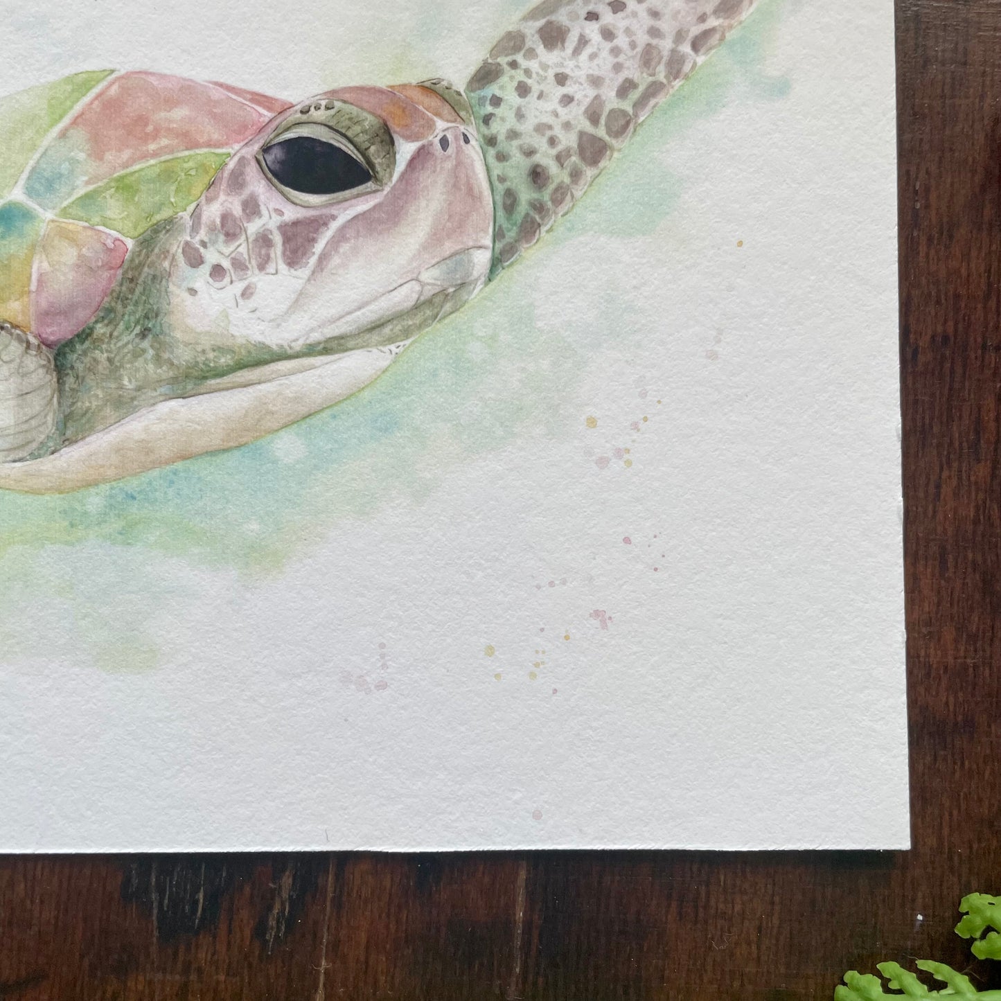 Sea Turtle Art Print