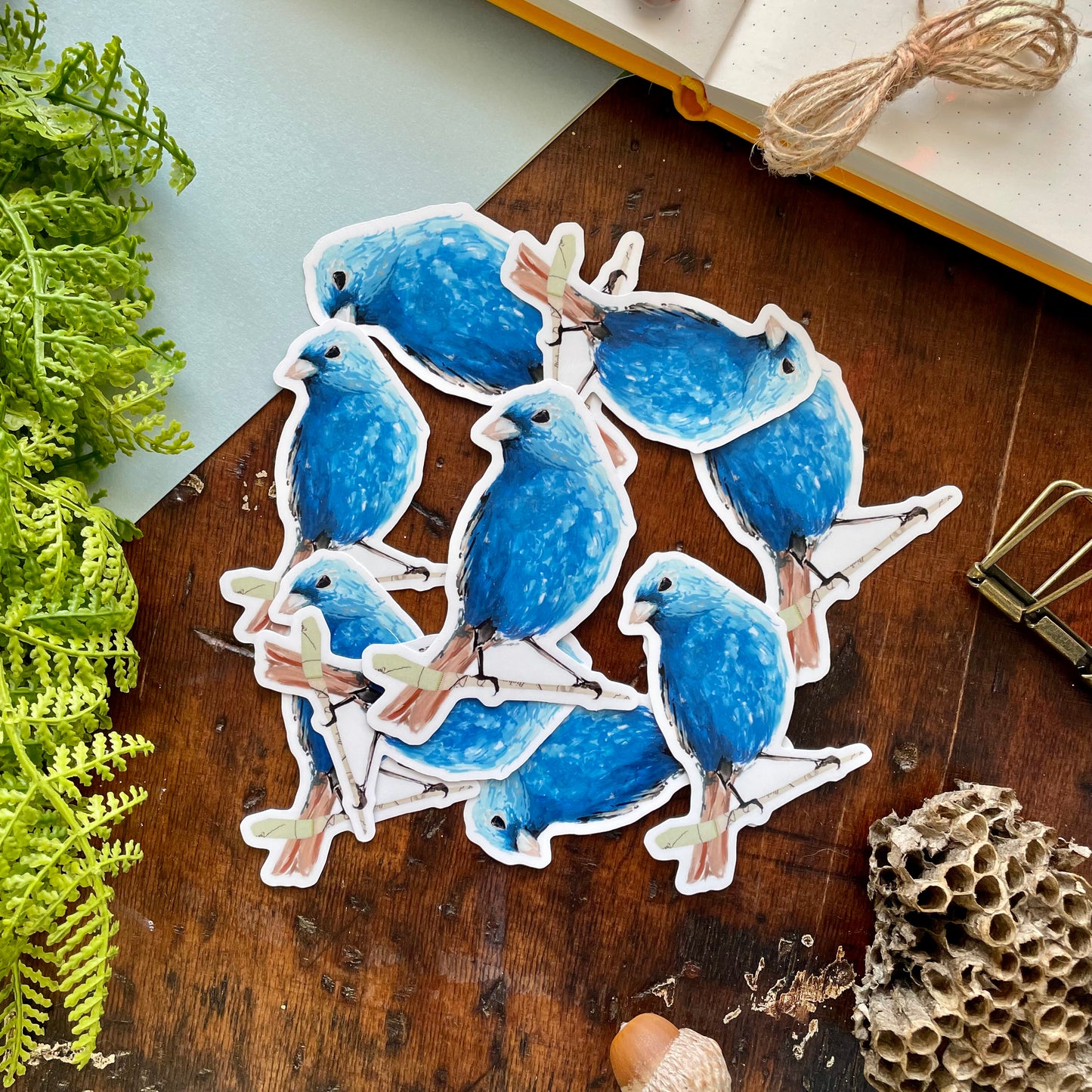 Indigo Bunting Vinyl Sticker
