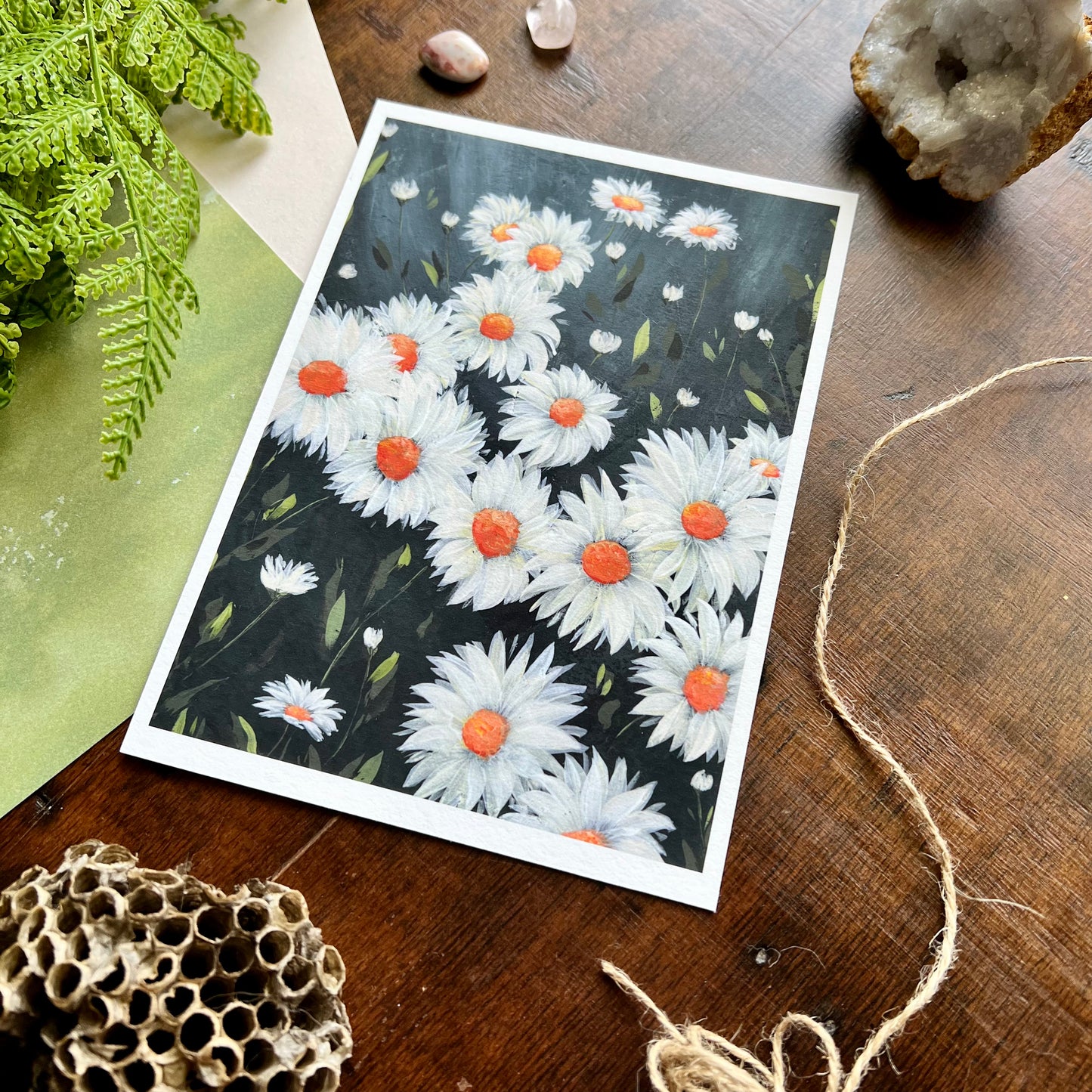 Daisies Art Print