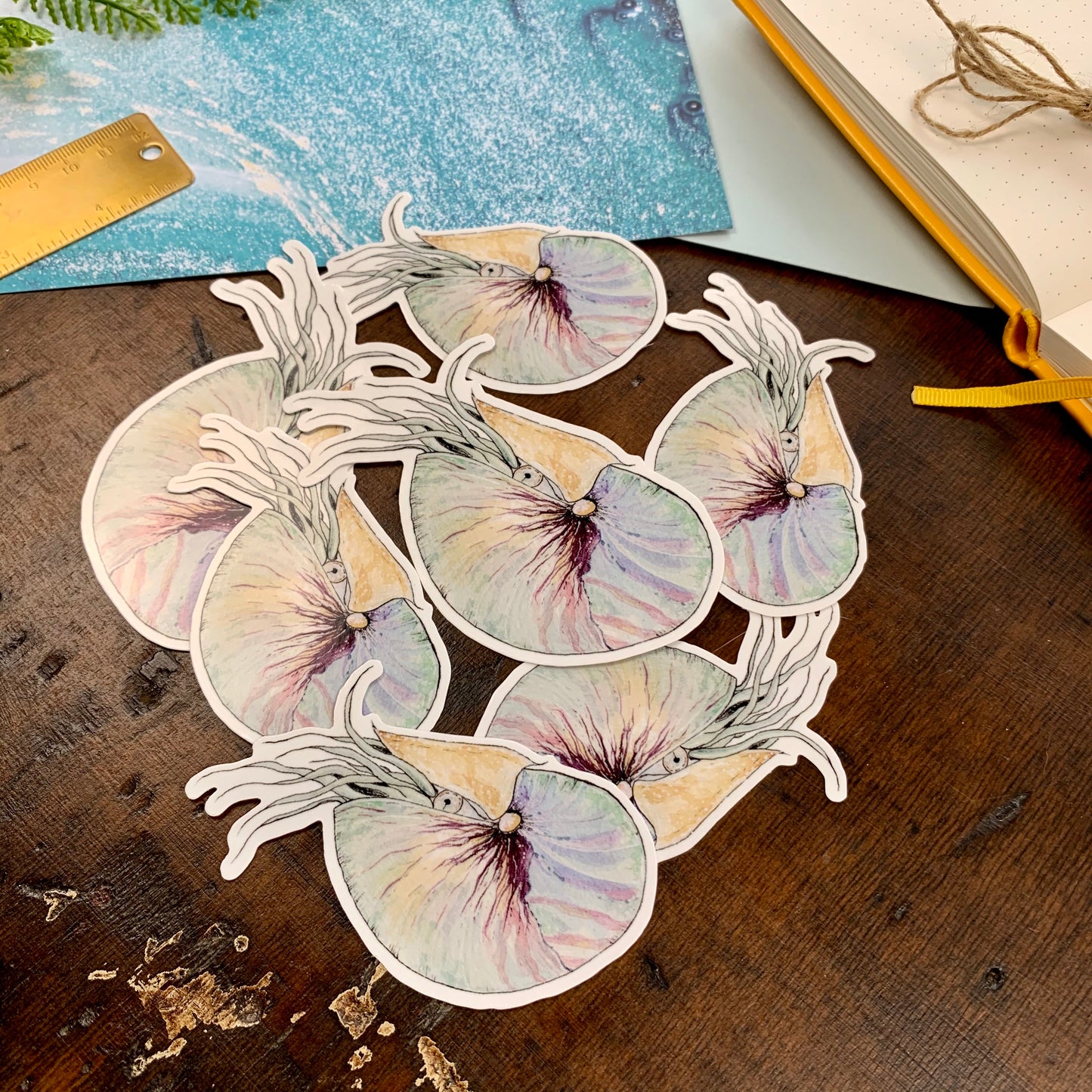 Nautilus Vinyl Sticker