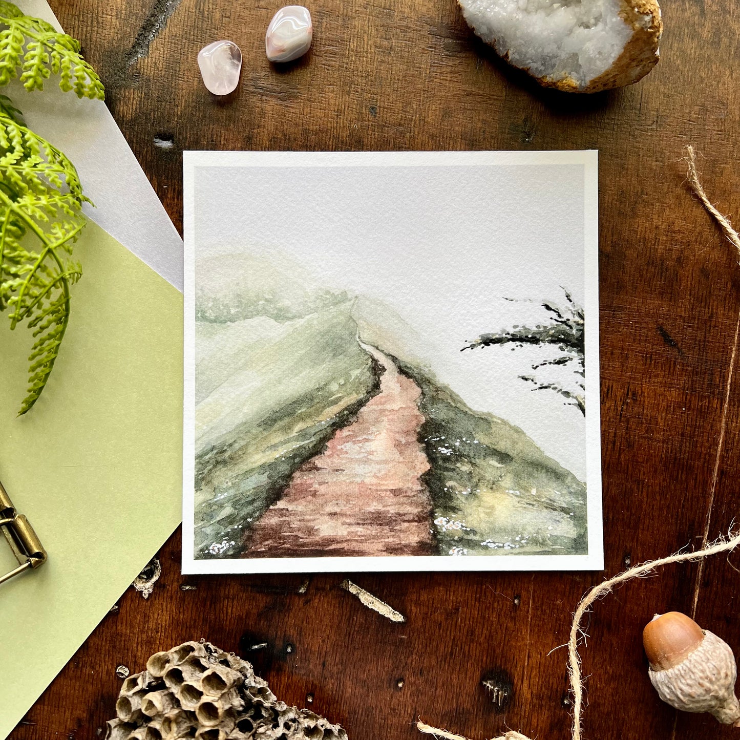 Along The Path Art Print