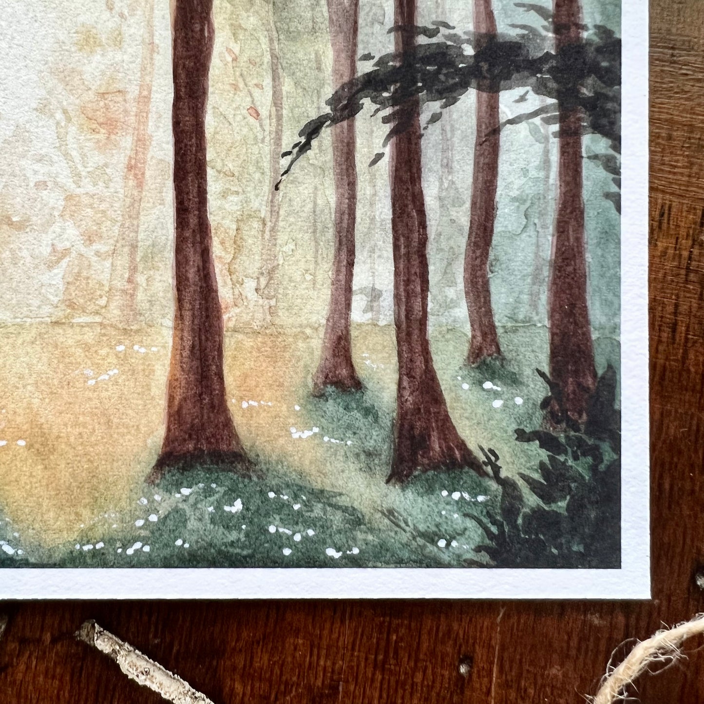 Sunrise Forest Art Print