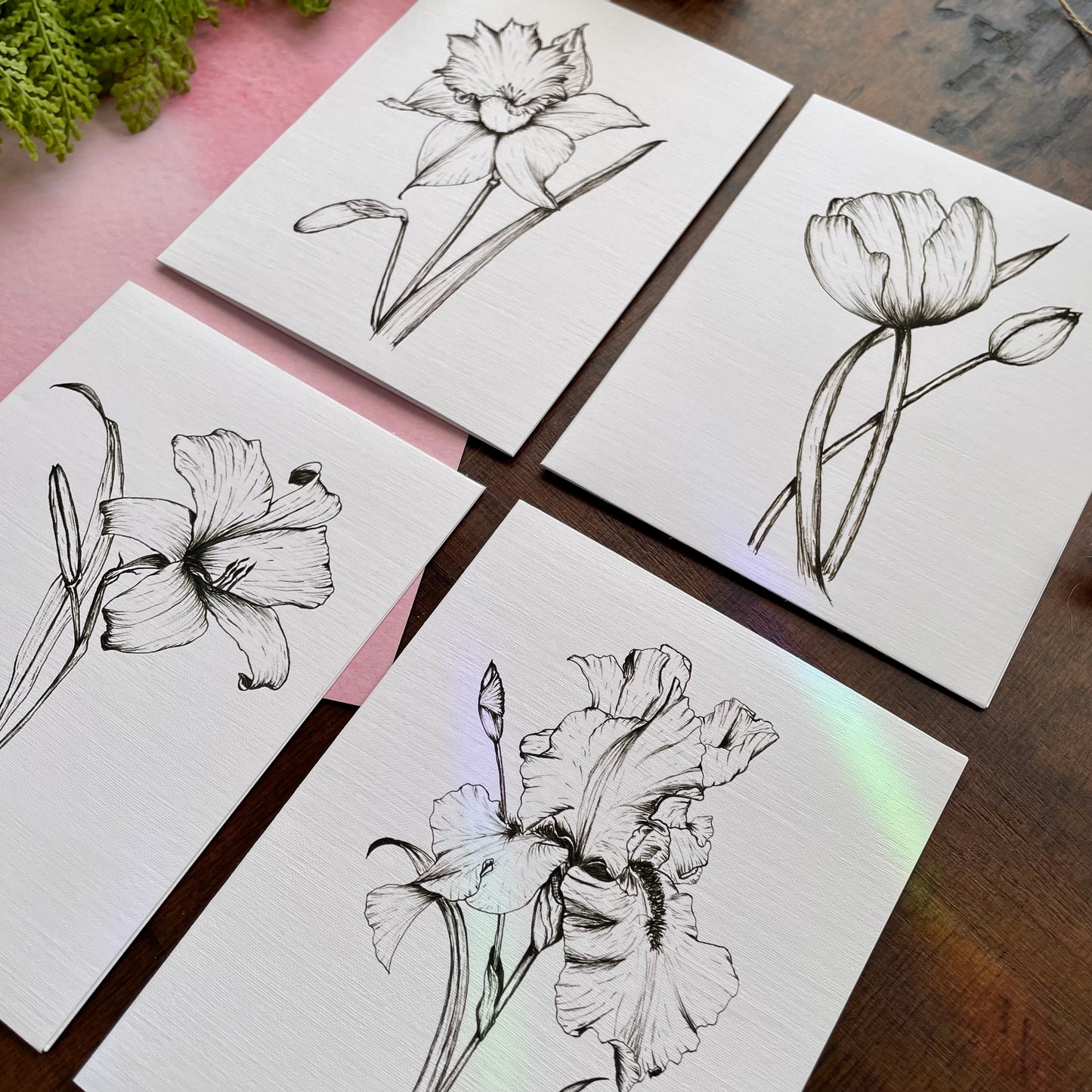 Floral Botanical Pen & Ink Card Set