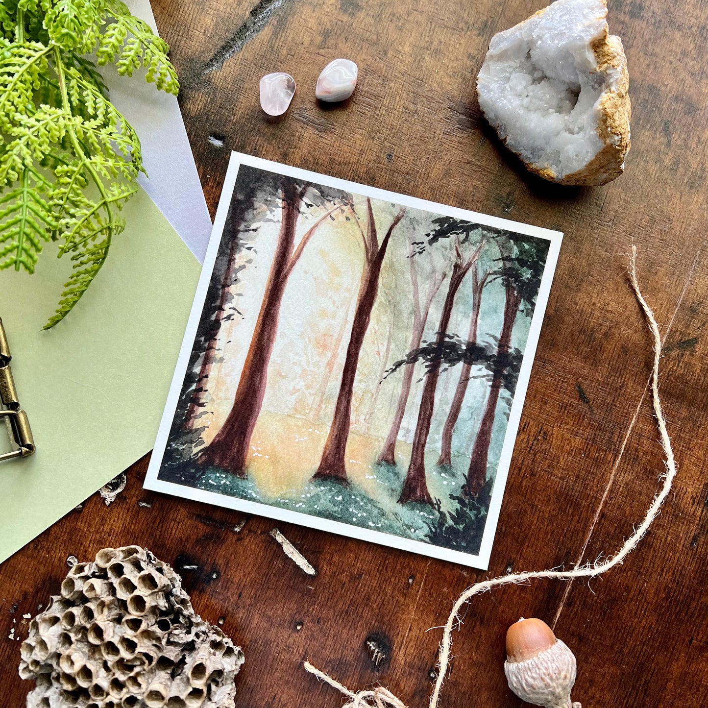 Sunrise Forest Art Print