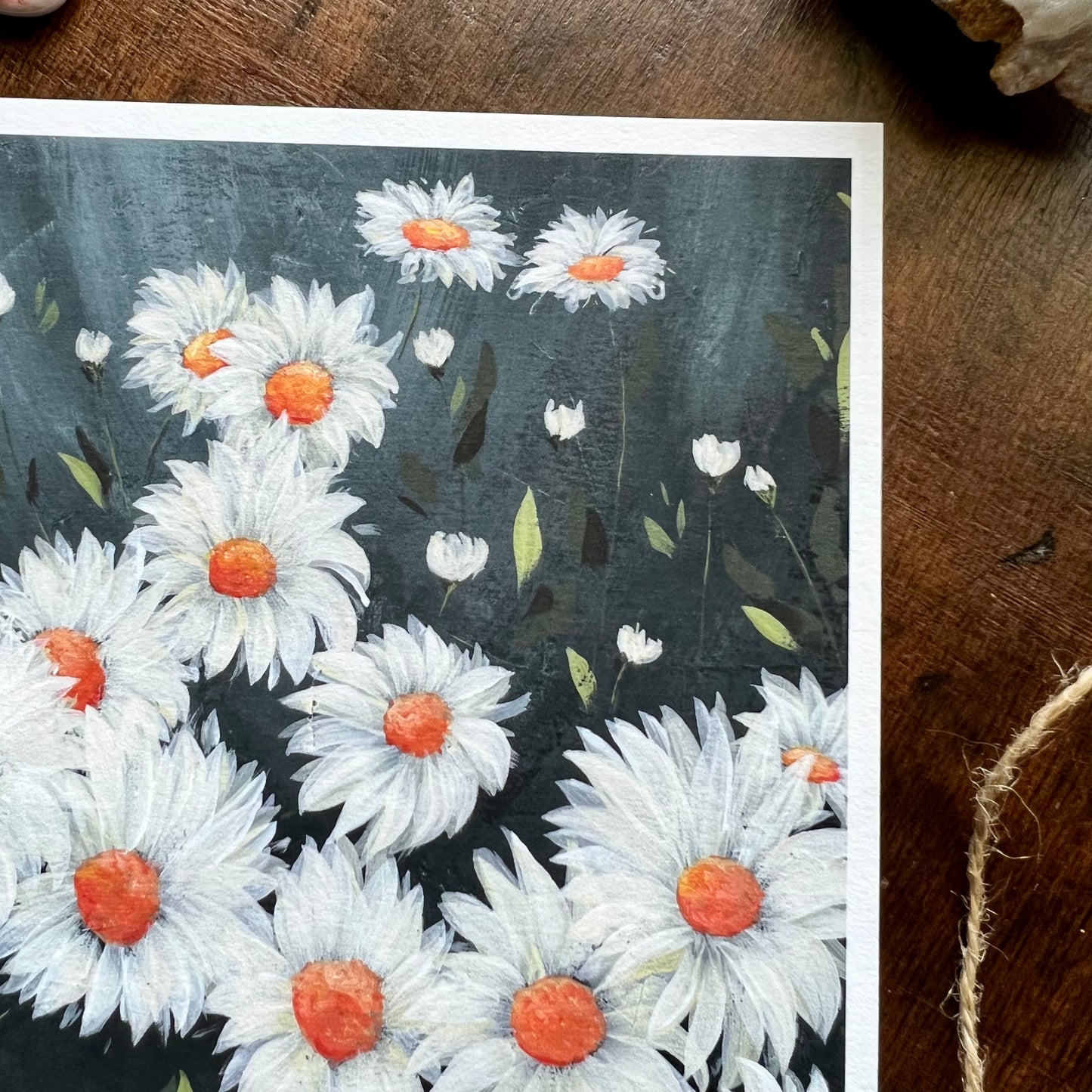 Daisies Art Print