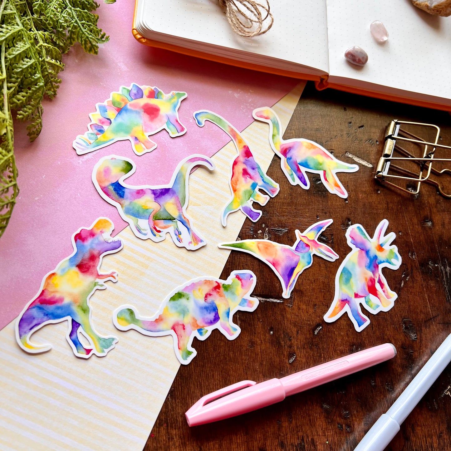 Rainbow Dinosaur Bundles
