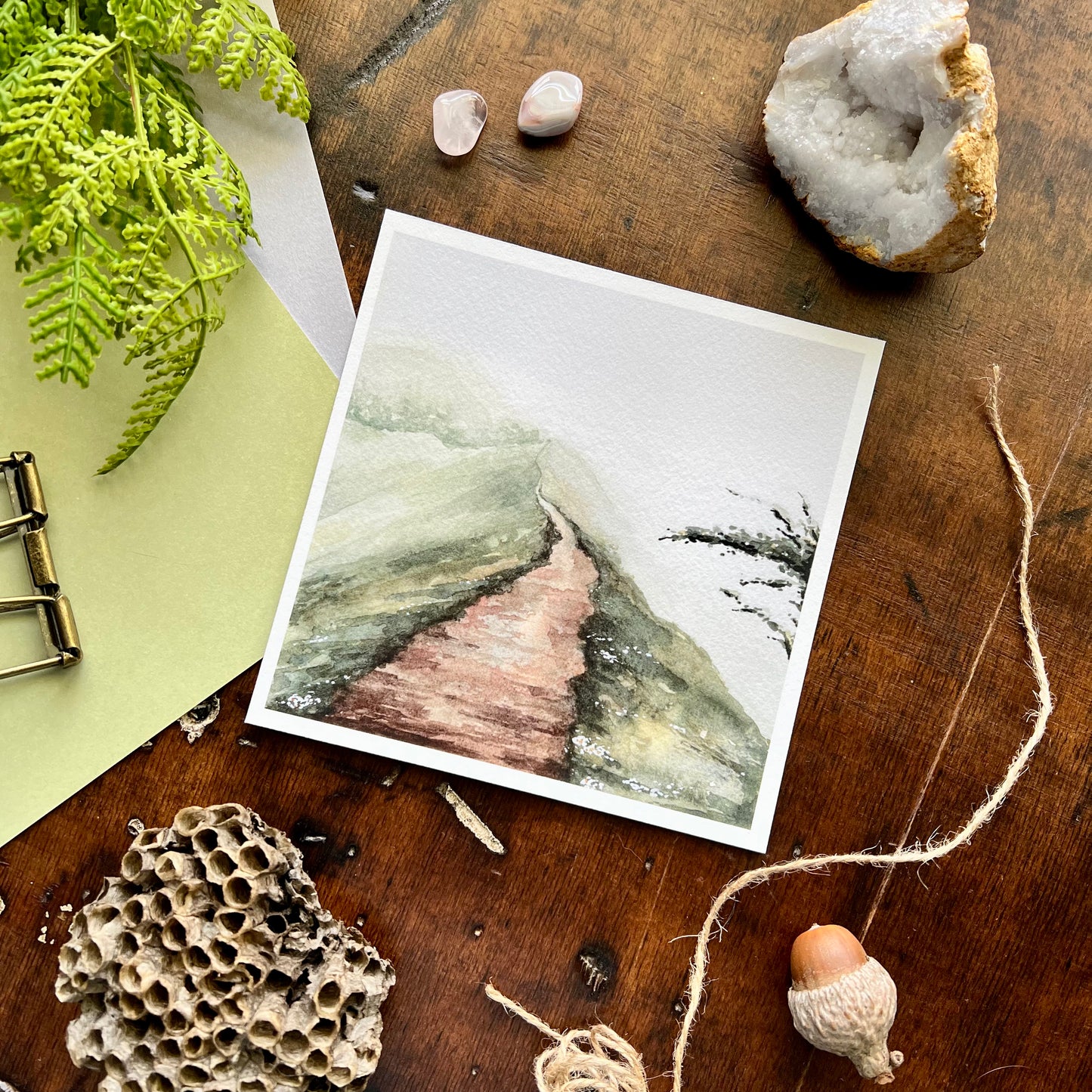 Along The Path Art Print
