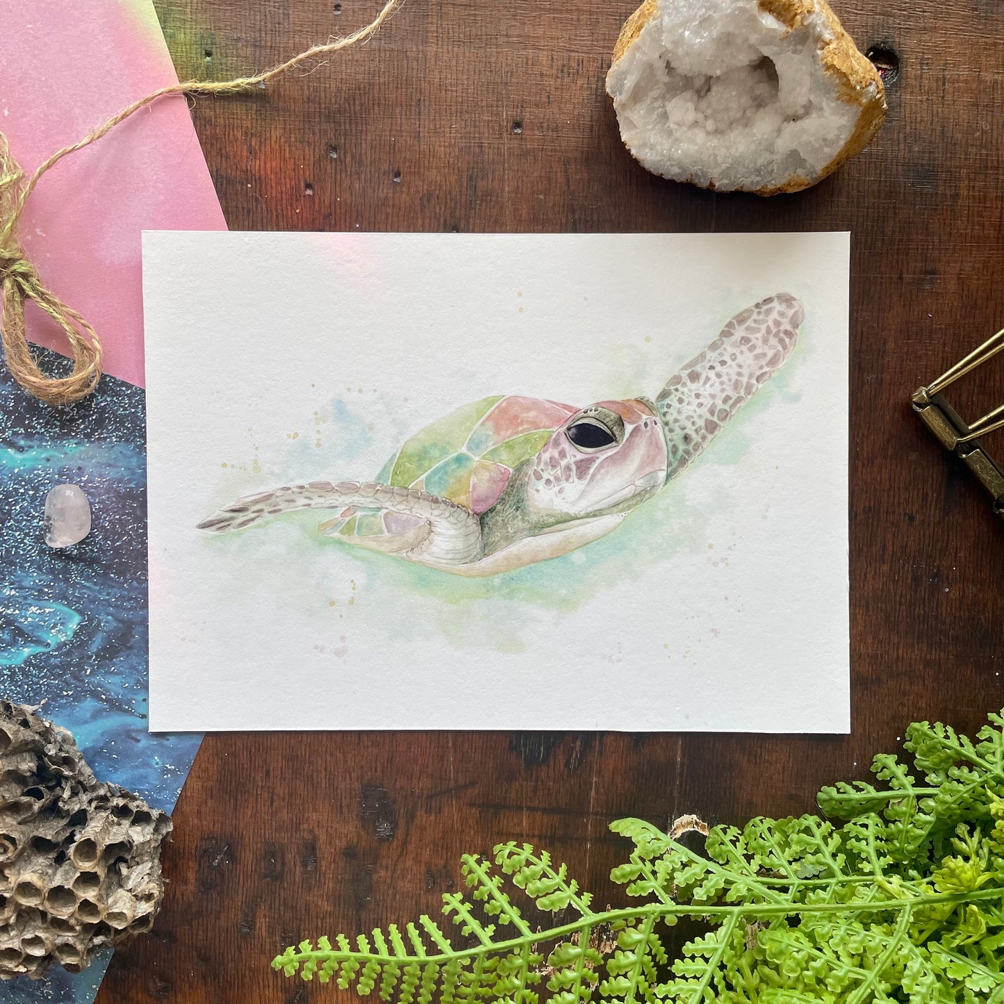 Sea Turtle Art Print
