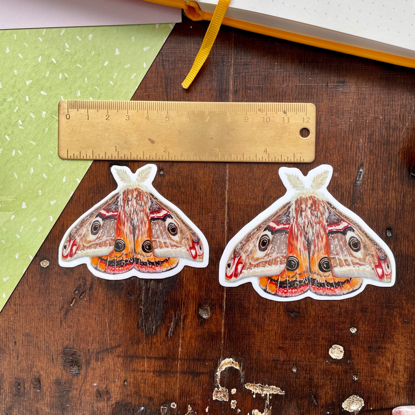 Emperor Moth Vinyl Sticker