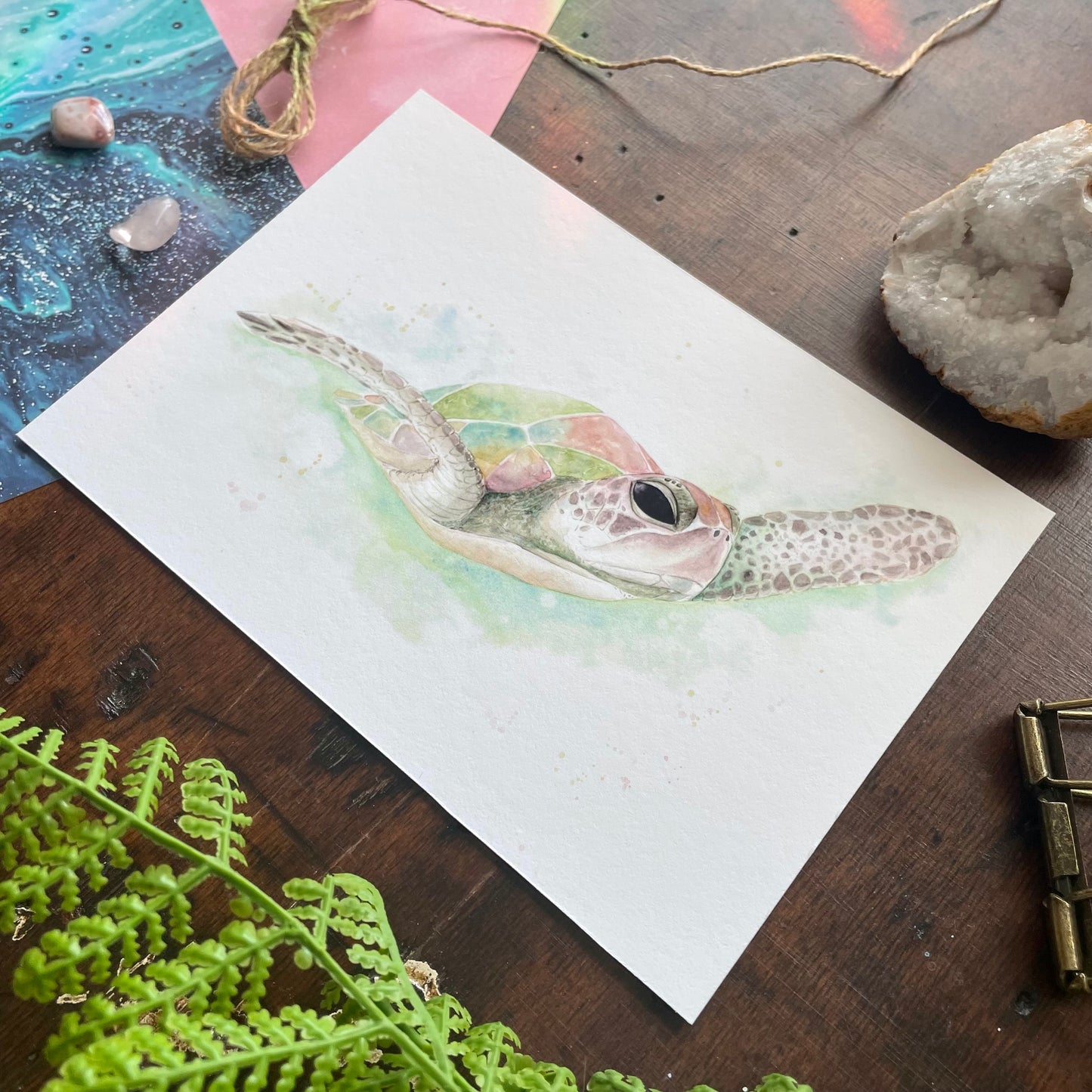 Sea Turtle Art Print