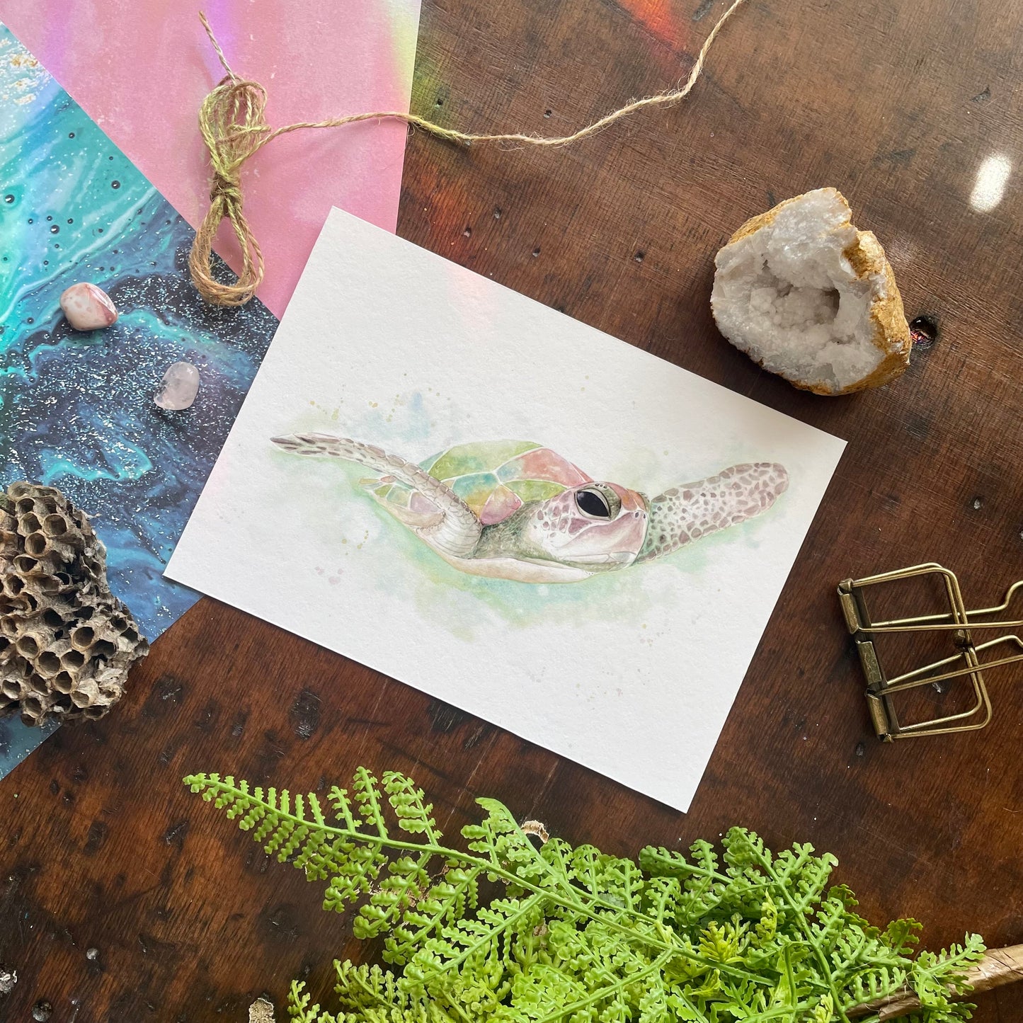 Sea Turtle Art Print